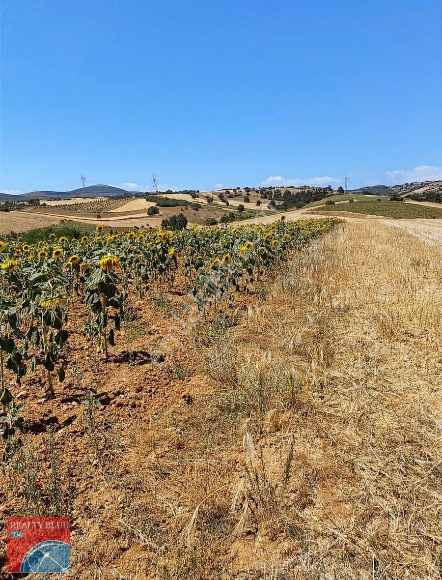 Yenişehir Kozderede Kaçırılmayacak Fırsat Mükemmel Hobi Bahçesi - Görsel 8