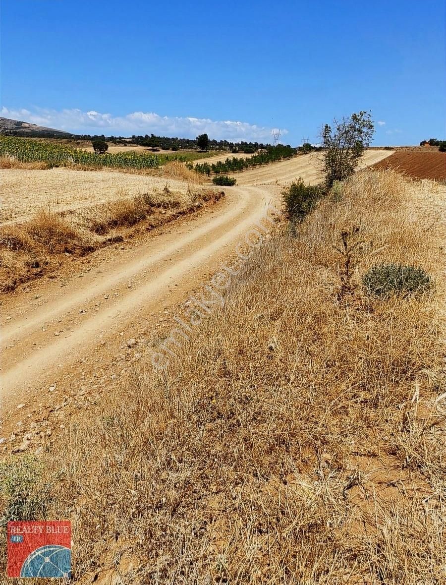Yenişehir Kozderede Kaçırılmayacak Fırsat Mükemmel Hobi Bahçesi - Görsel 4