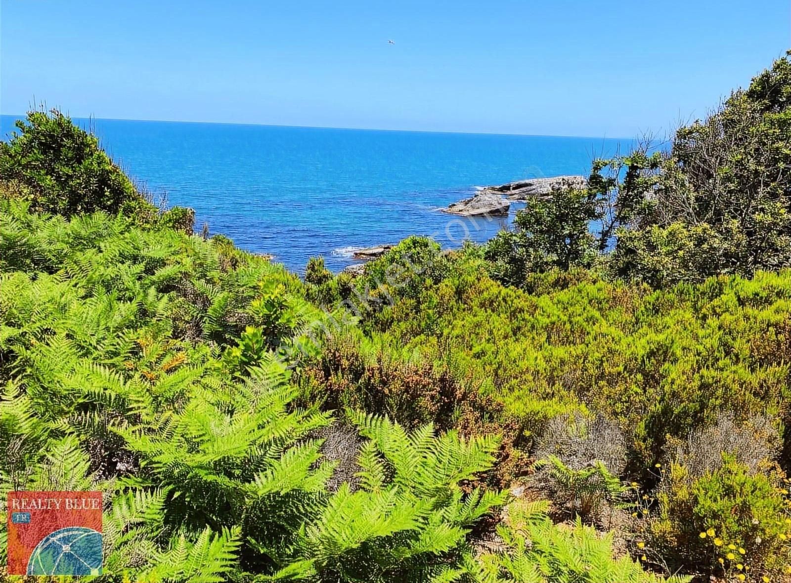 Kocaeli Kandıra Pınarlı Mah Denize 100m Mesafede Hisse 986 M - Görsel 2