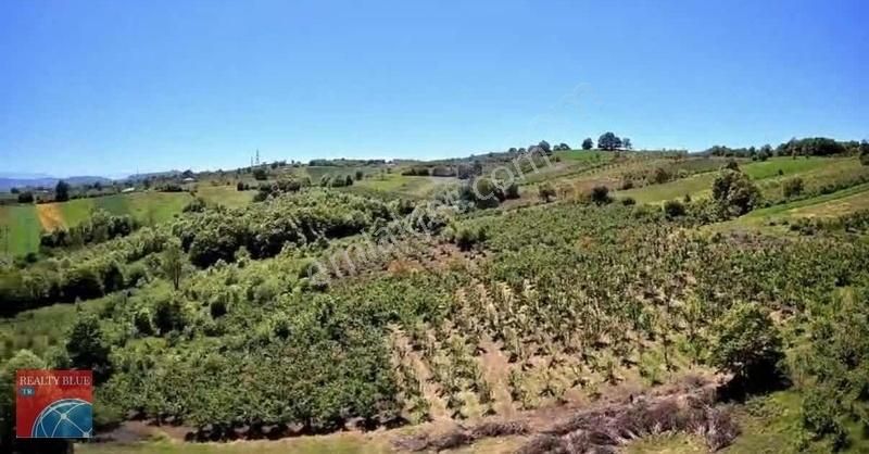 Kandıra Hüdaverdiler Köyünde 1 Dönüm Arsa - Görsel 4