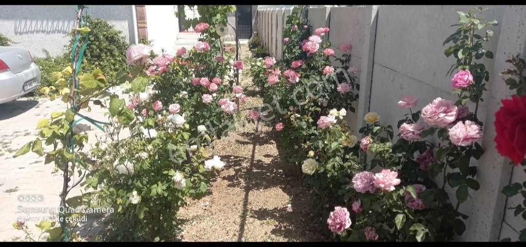 Afyonkarahisar Çıkrıkta Köşe Konumlu Bahçeli Müstakil Ev - Görsel 21