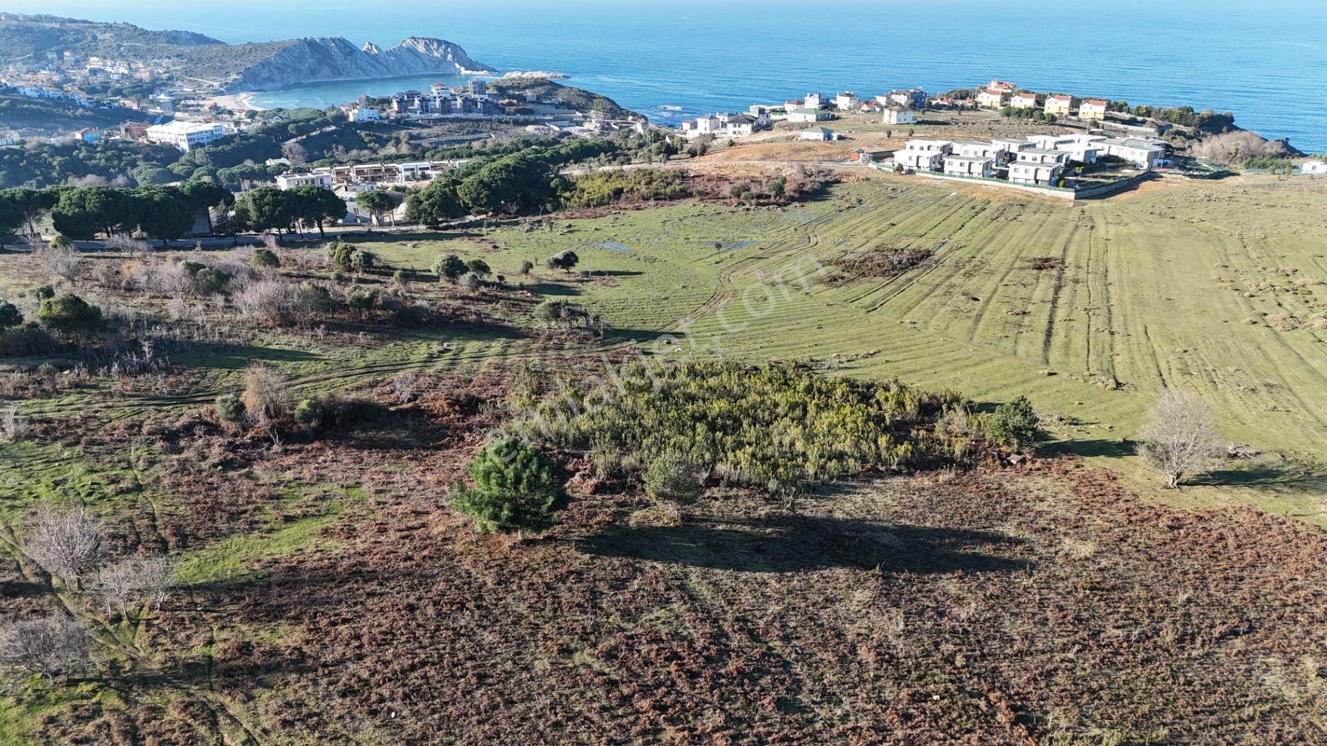 Şile Karacaköy Mah.413 M2 %30 Villa İmarlı Arsa - Görsel 5