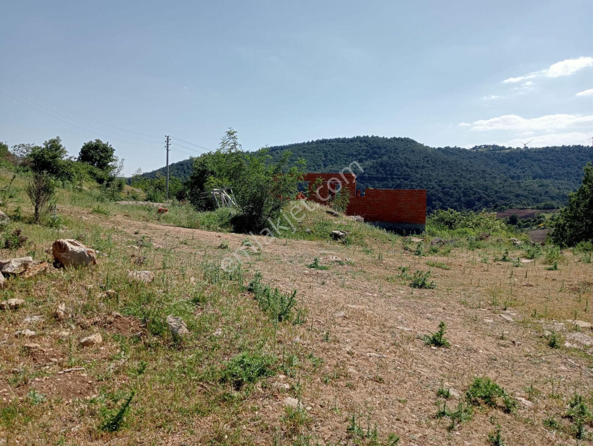 Komutan Emlaktan Bergama Muratlar Köyünde 270 M2 İmarlı Arsa - Görsel 17