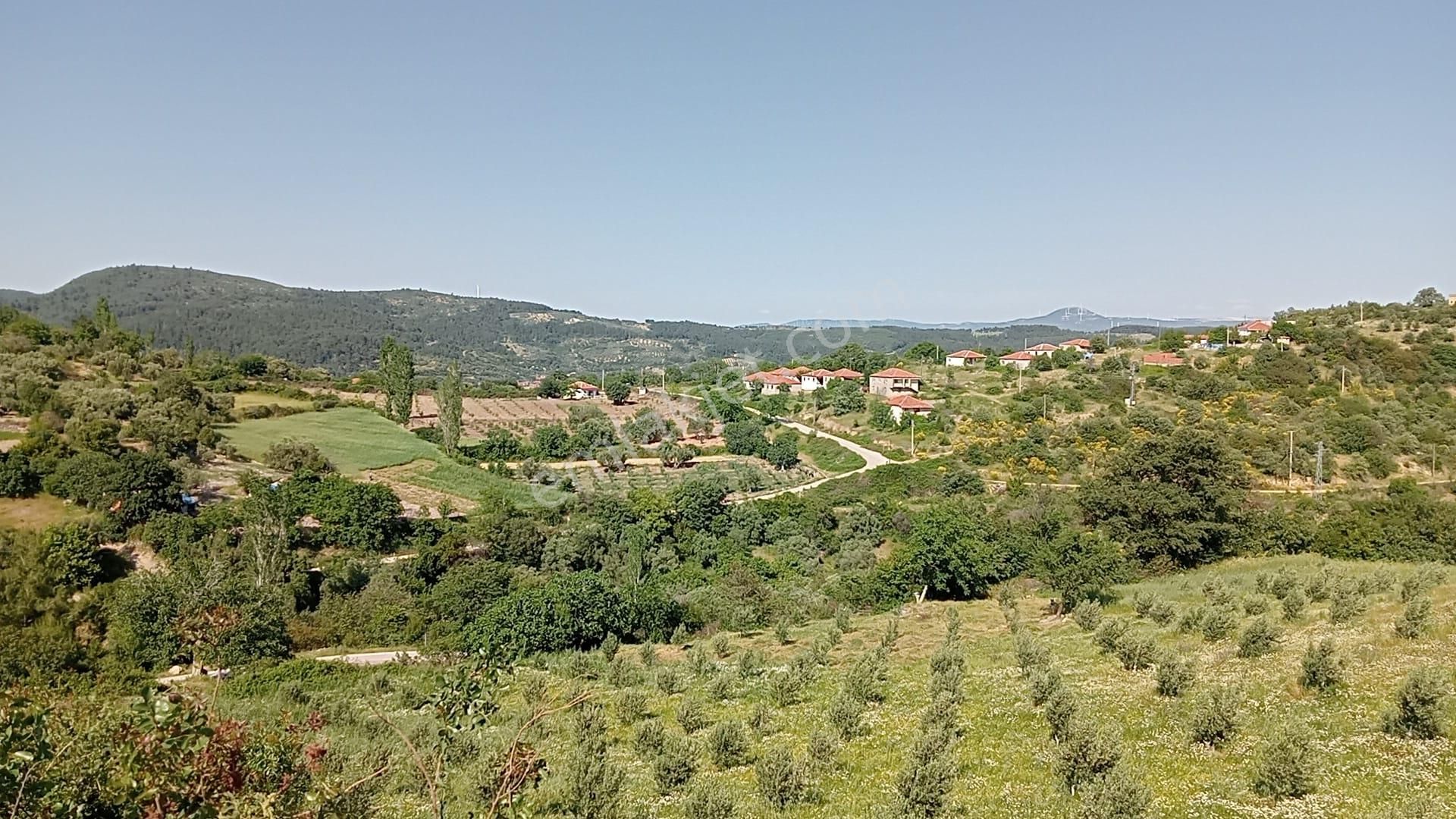 Komutan Emlaktan Bergama Muratlar Köyünde 270 M2 İmarlı Arsa - Görsel 31