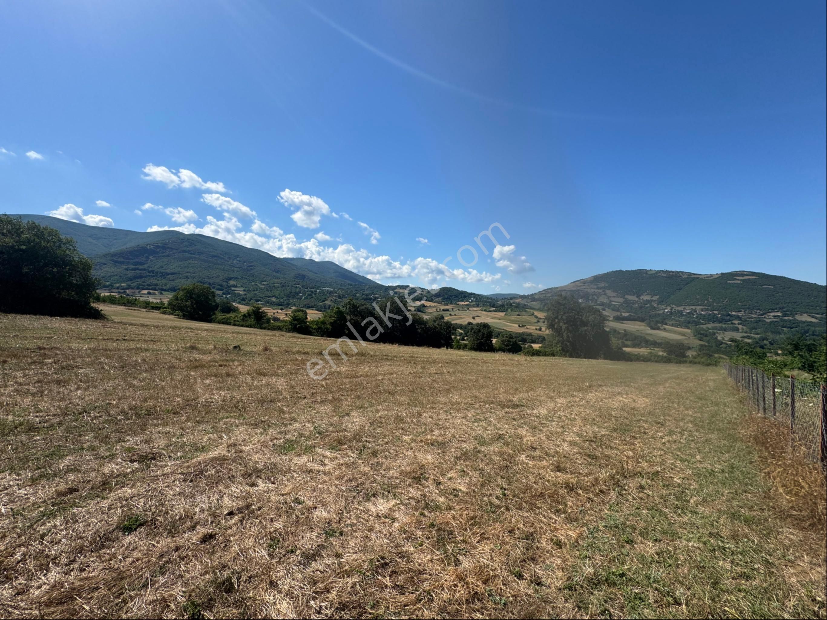 Atakum Meyvalıda 3031 M2 Satılık Hisseli Tarla - Görsel 32