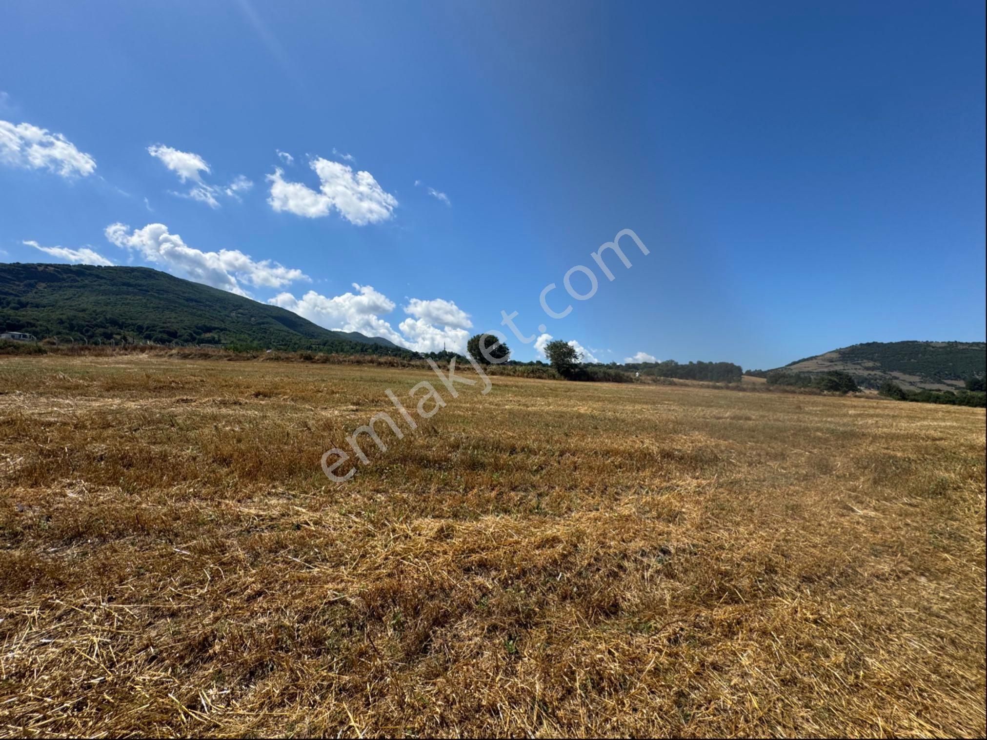 Atakum Meyvalıda 3031 M2 Satılık Hisseli Tarla - Görsel 17
