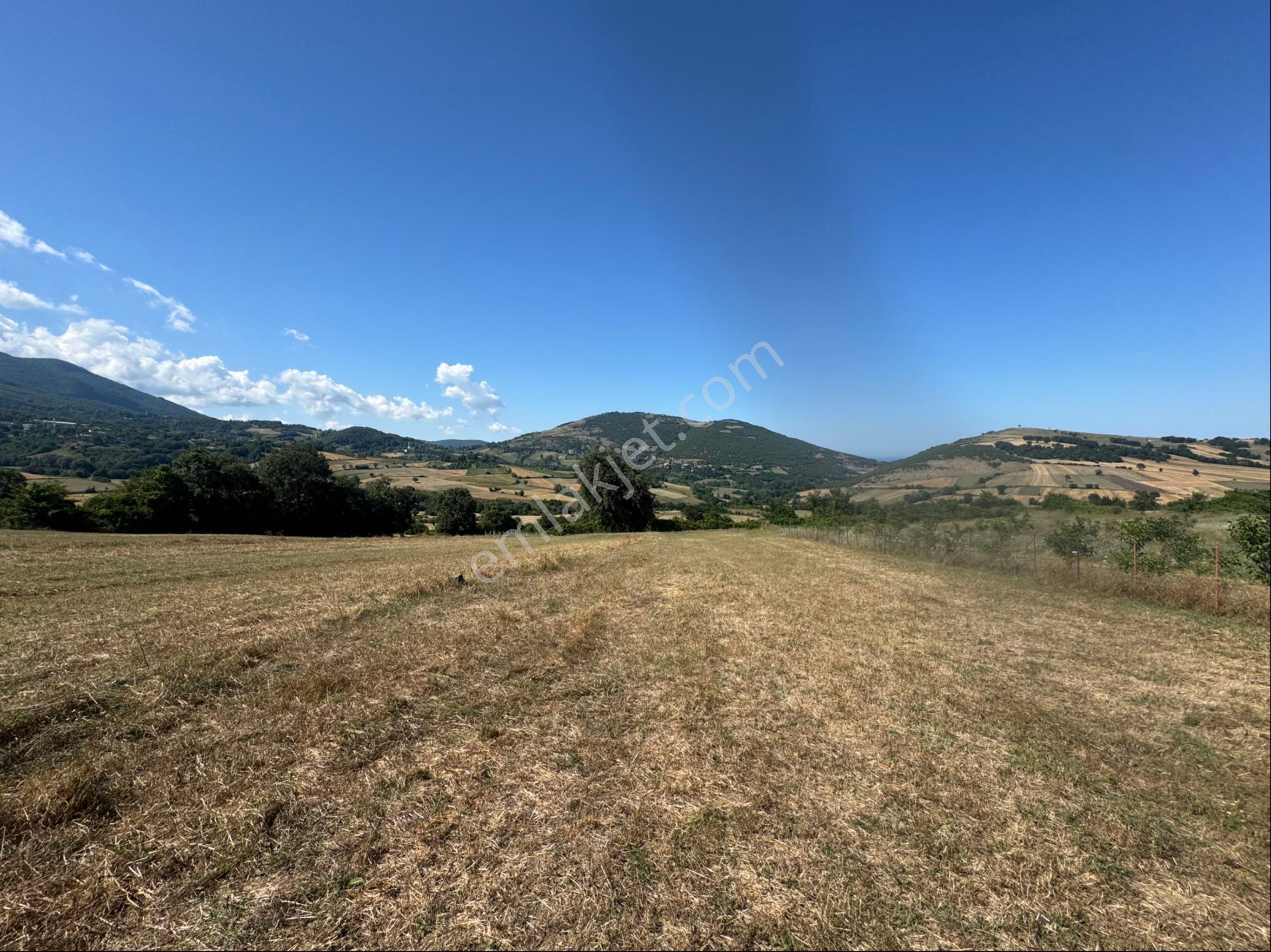 Atakum Meyvalıda 3031 M2 Satılık Hisseli Tarla - Görsel 35