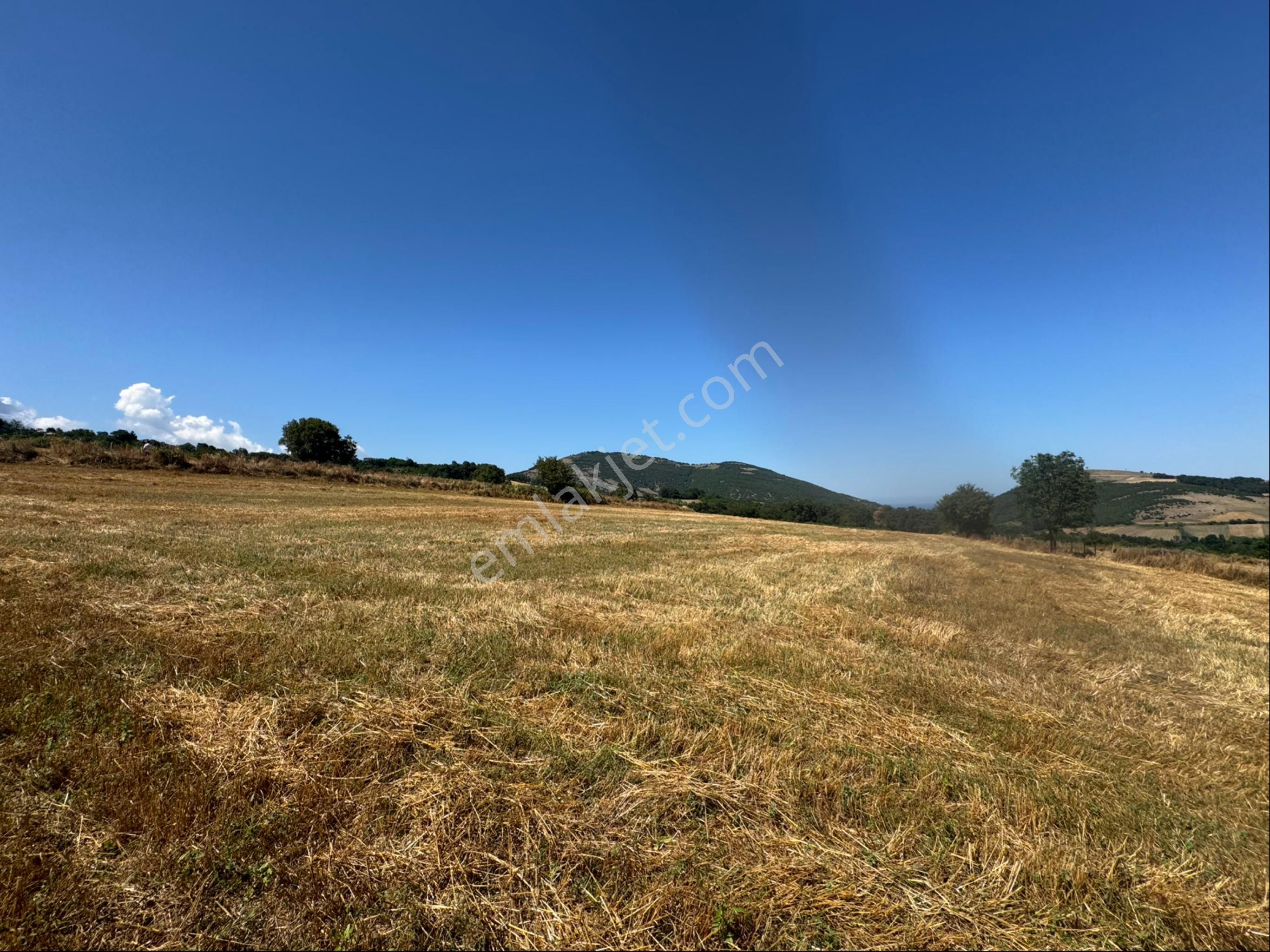 Atakum Meyvalıda 3031 M2 Satılık Hisseli Tarla - Görsel 26