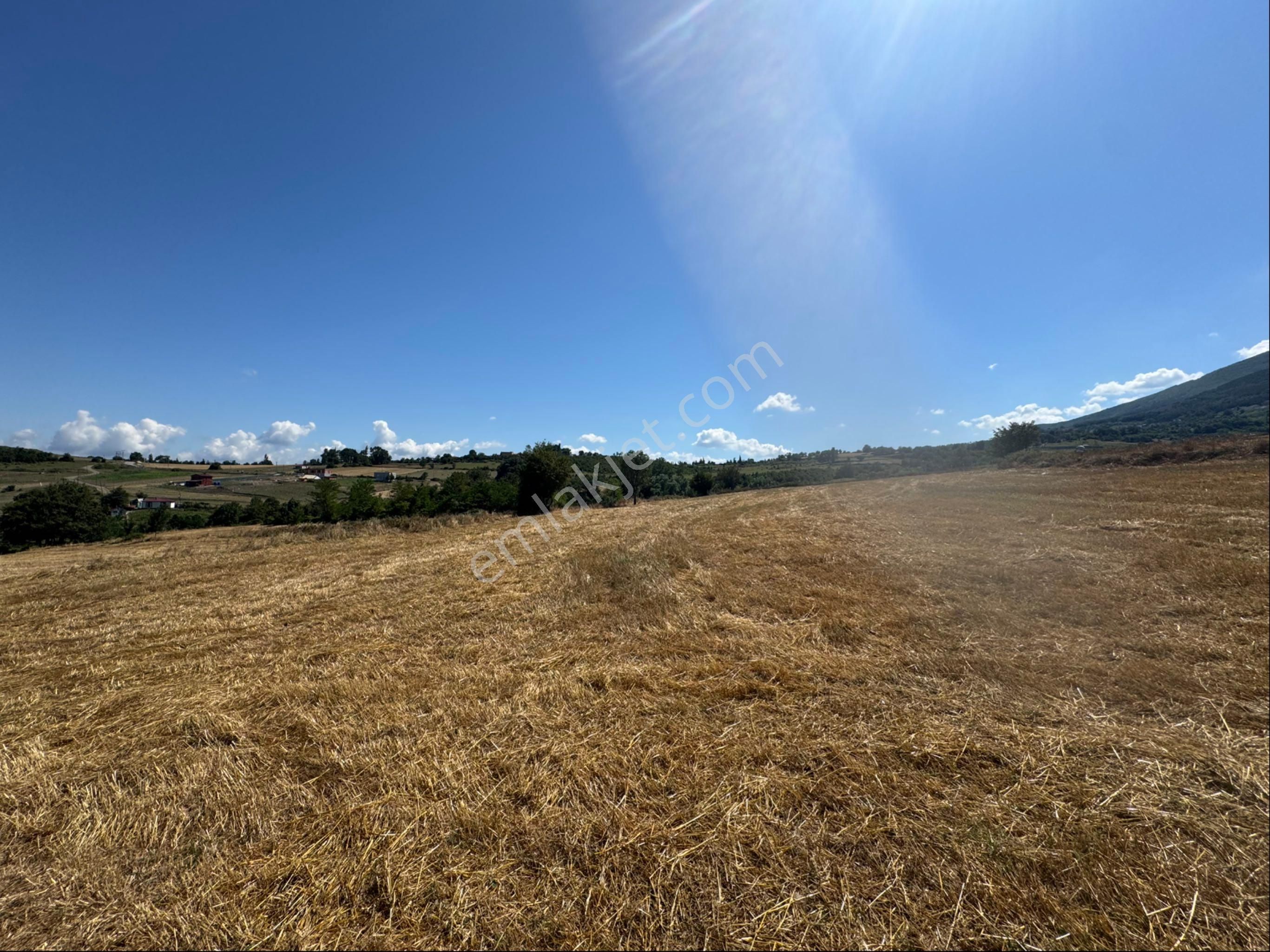 Atakum Meyvalıda 3031 M2 Satılık Hisseli Tarla - Görsel 4