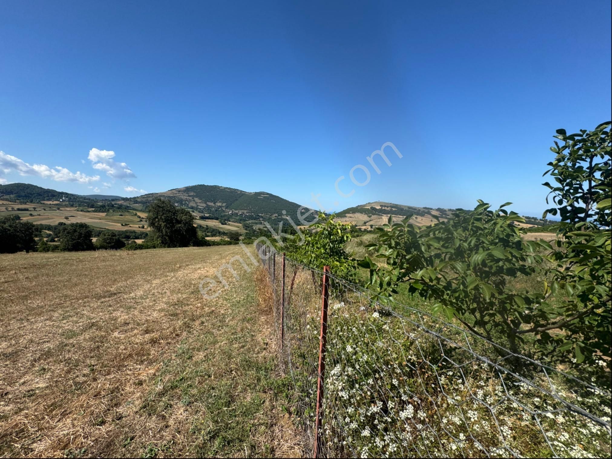 Atakum Meyvalıda 3031 M2 Satılık Hisseli Tarla - Görsel 34