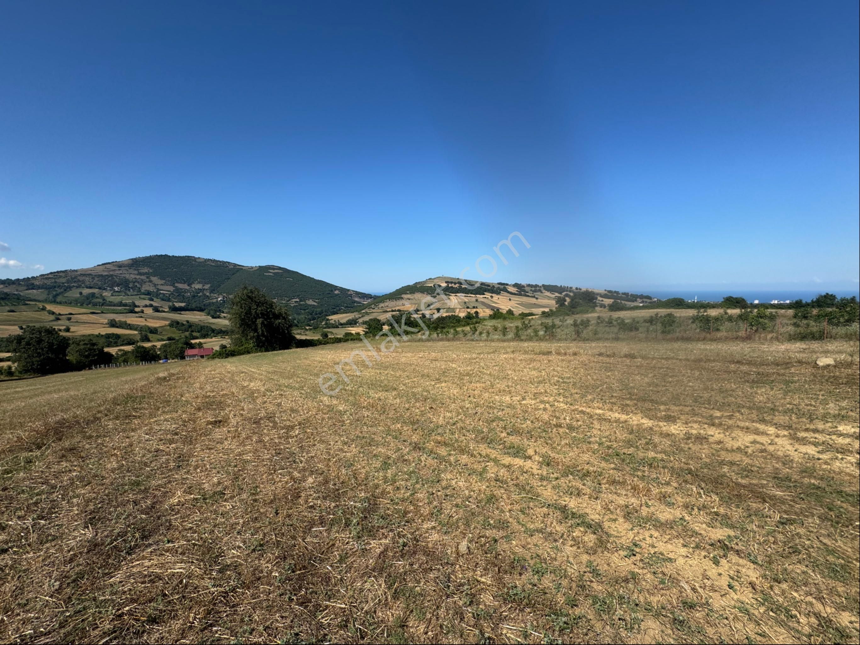 Atakum Meyvalıda 3031 M2 Satılık Hisseli Tarla - Görsel 40