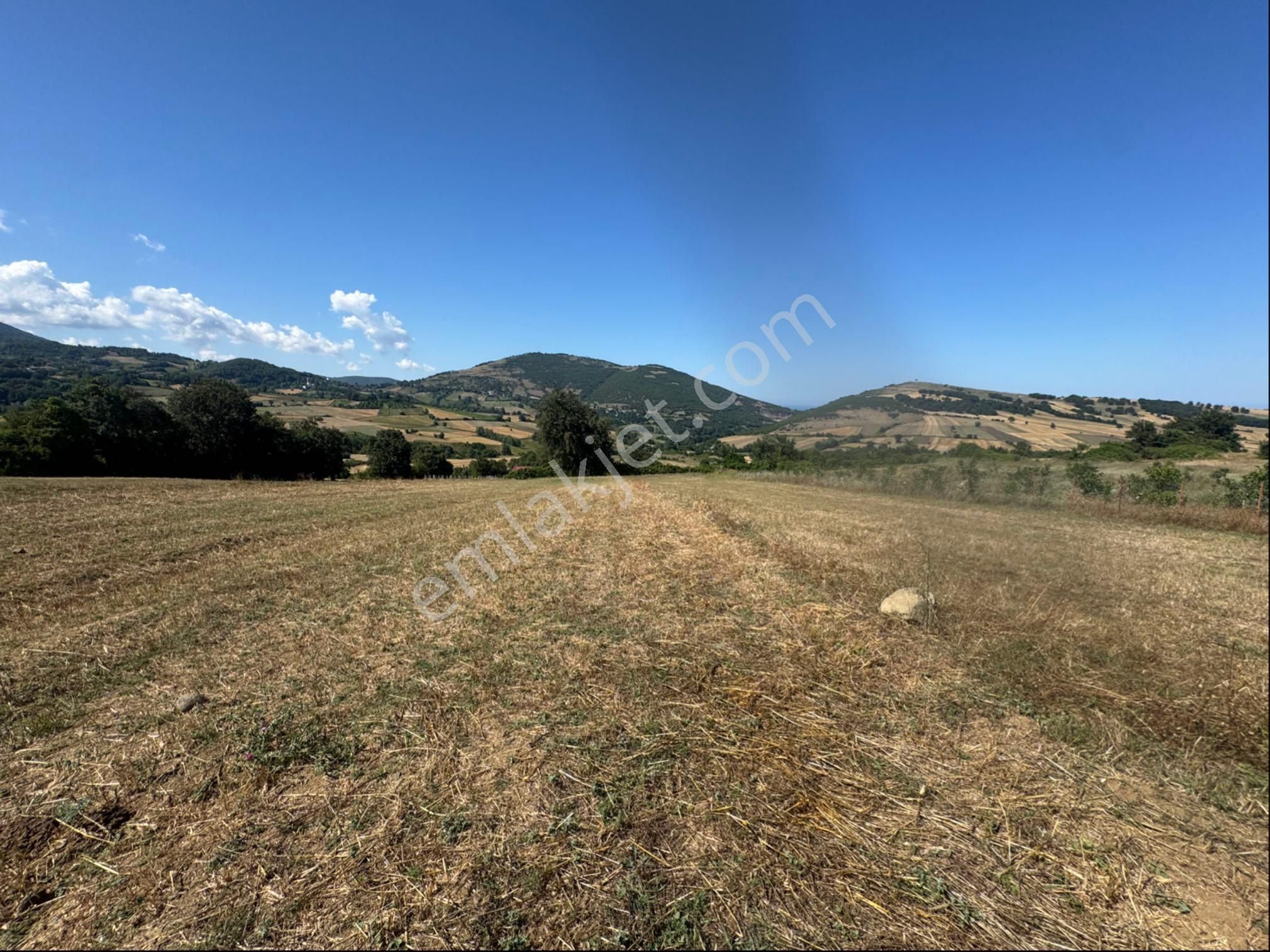 Atakum Meyvalıda 3031 M2 Satılık Hisseli Tarla - Görsel 36