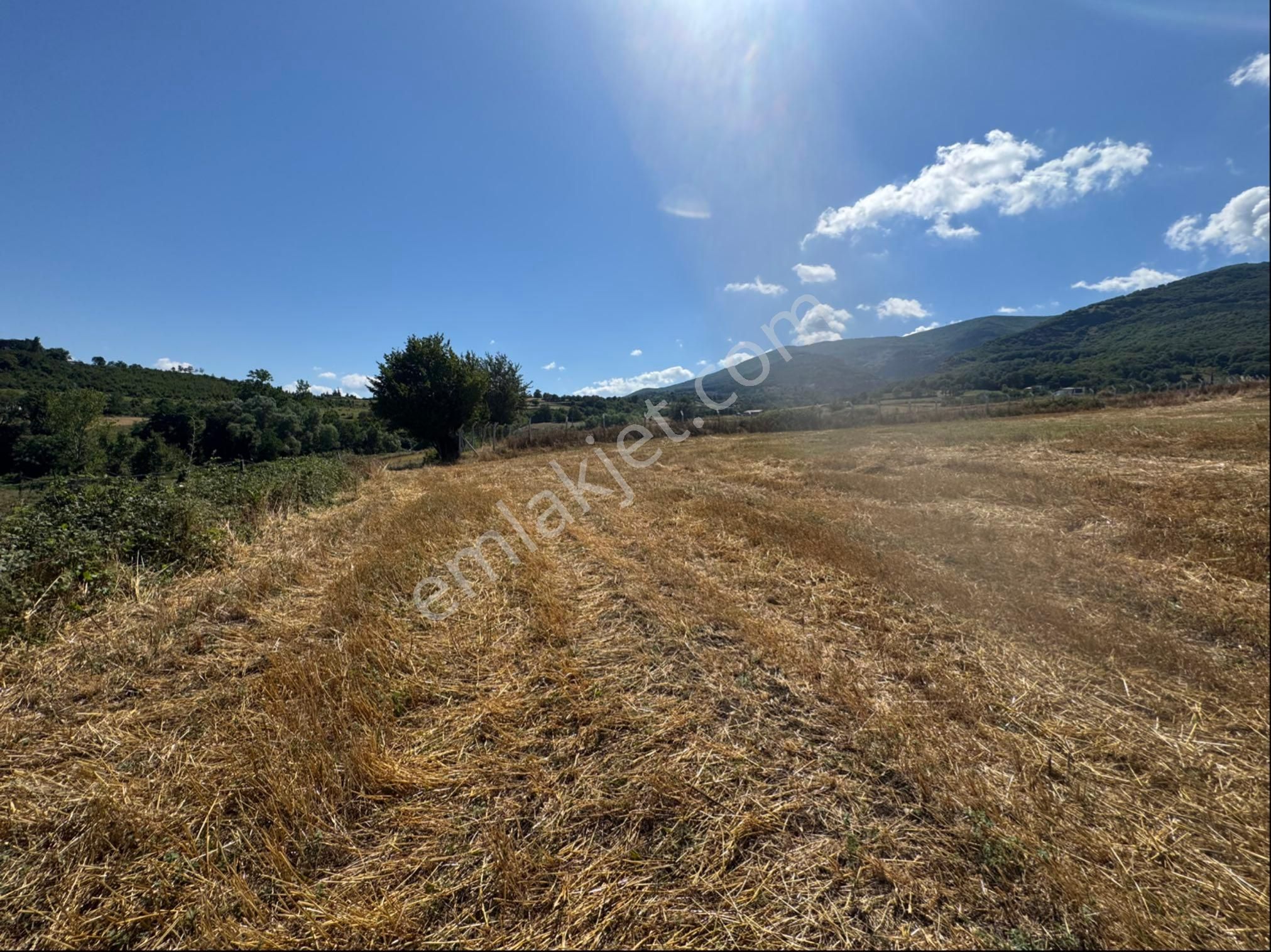 Atakum Meyvalıda 3031 M2 Satılık Hisseli Tarla - Görsel 18