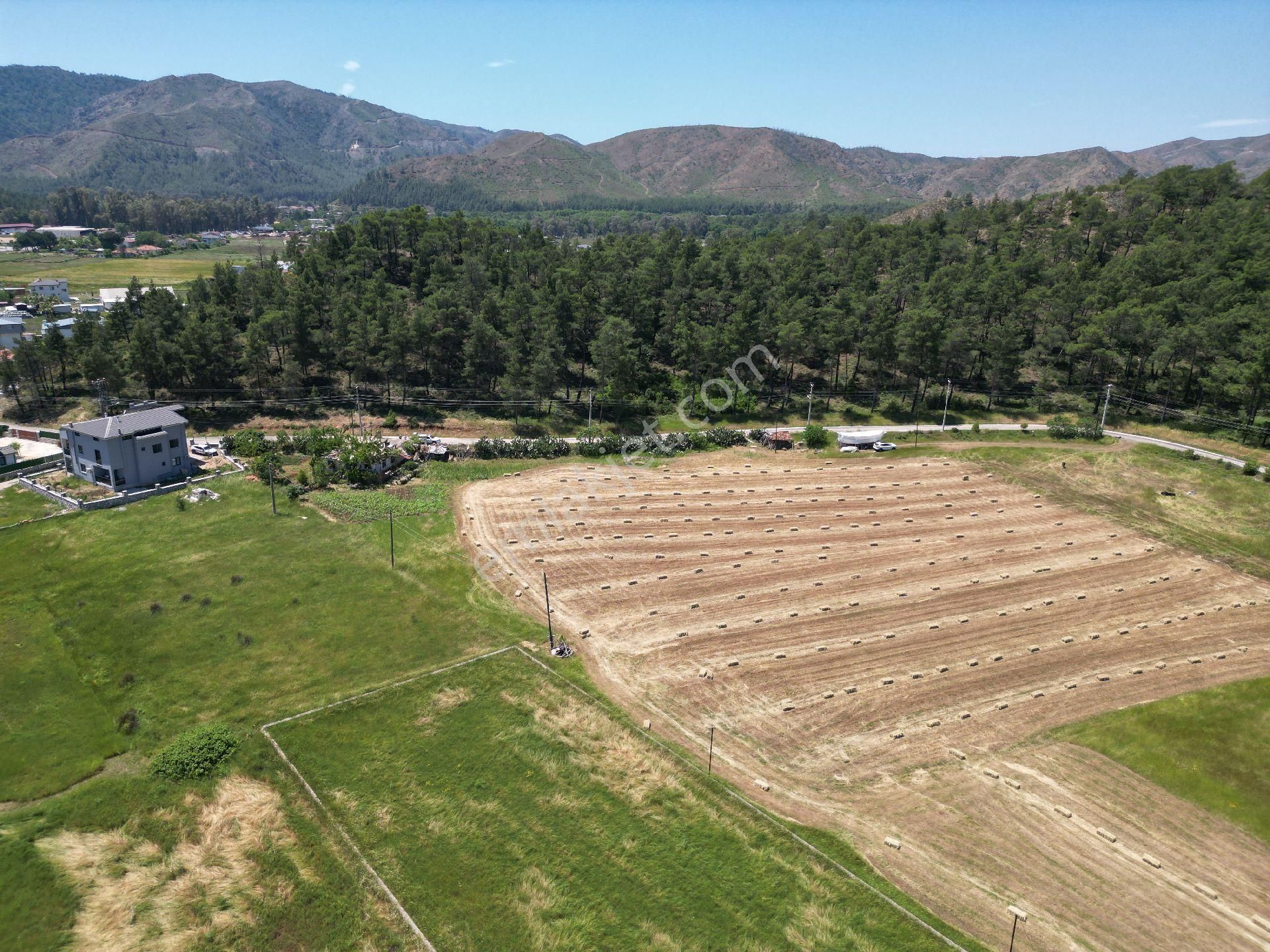 Joker: Hisarönü Uygulama İmar Planında Satılık Tarla - Görsel 5