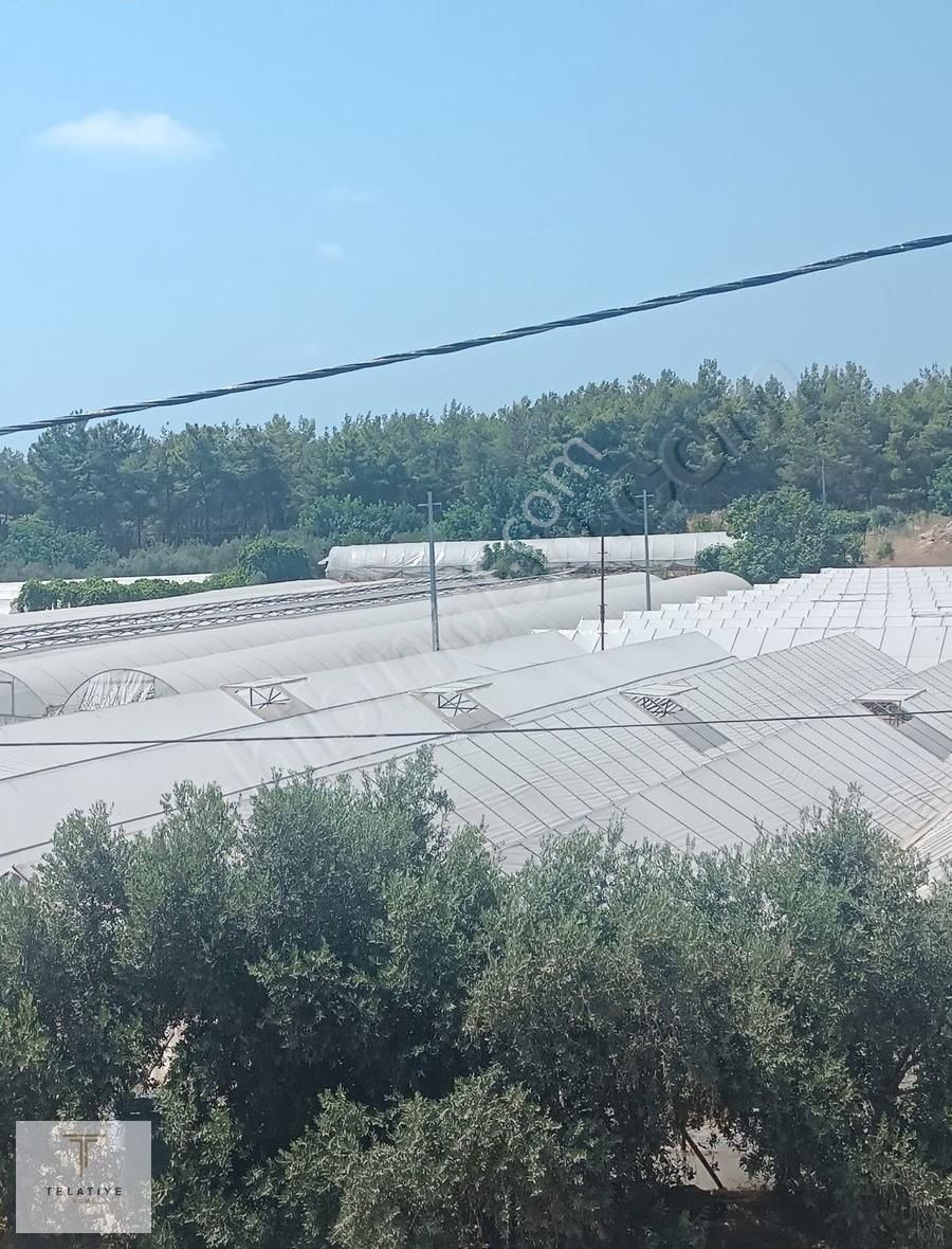 Payallar'da 4 Aya Teslim Yatırımlık 1+1