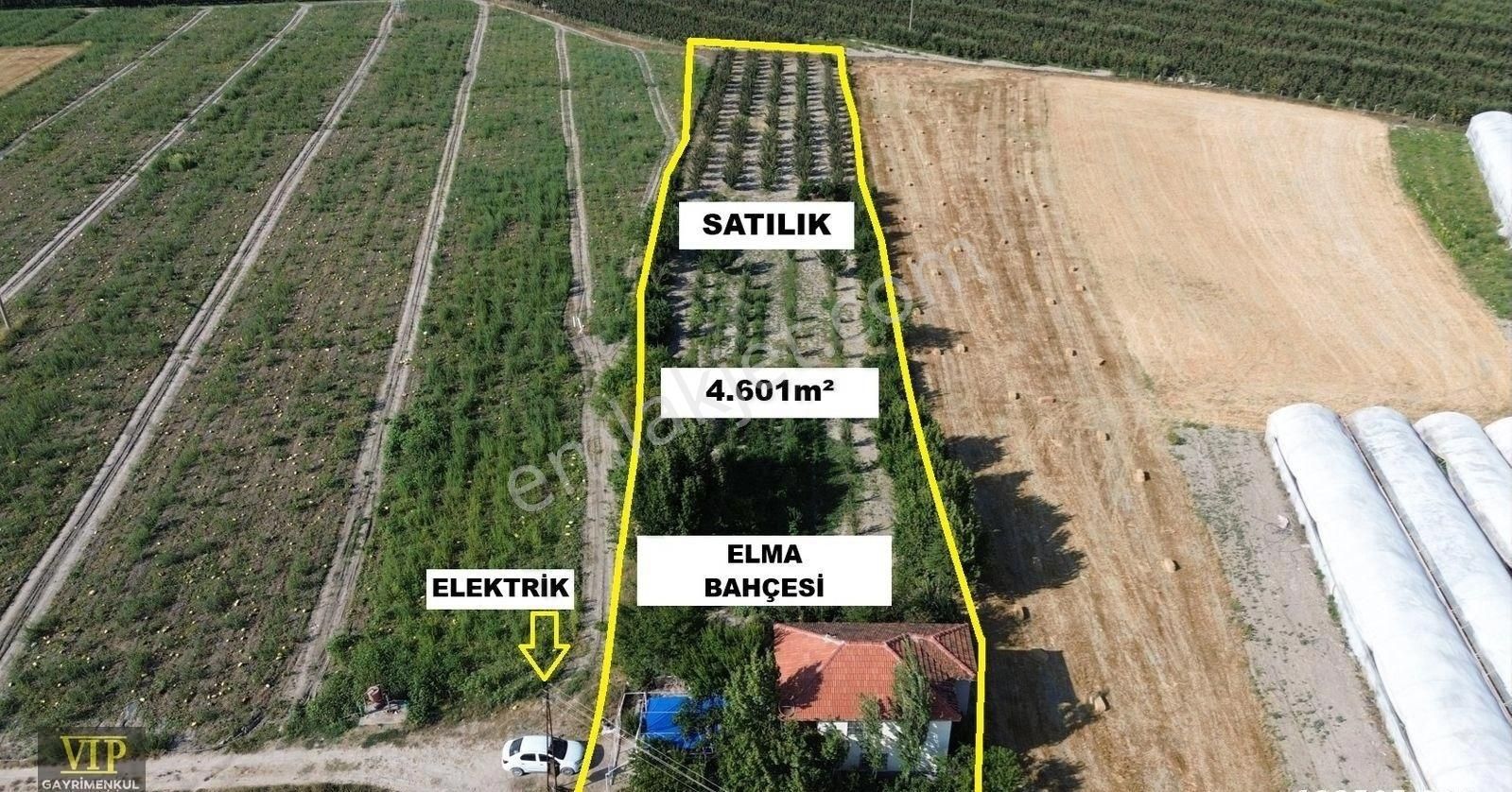 Vip Gayrimenkul'den Eymir Mah. En İyi Lokasyonda 4.601m² Elma Bahçesi - Görsel 4