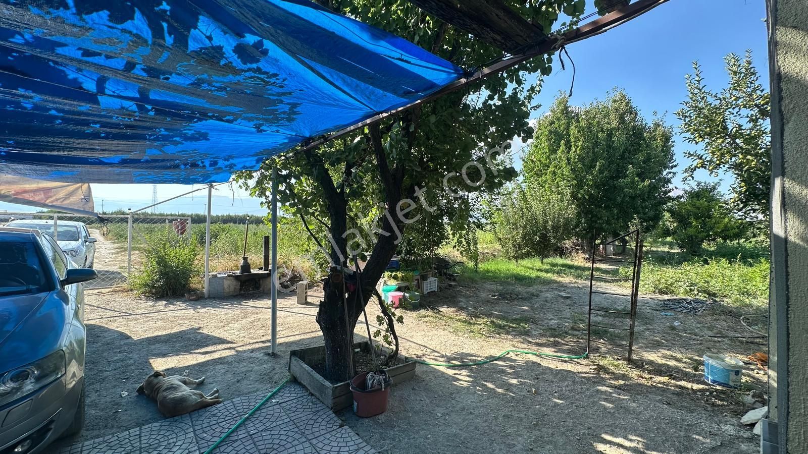 Vip Gayrimenkul'den Eymir Mah. En İyi Lokasyonda 4.601m² Elma Bahçesi - Görsel 13