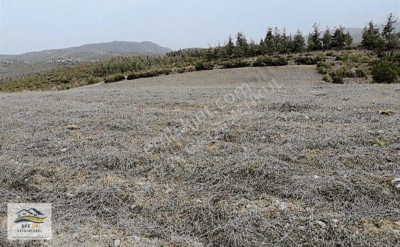 Bozkurt Ali Kurt'ta 10 Dönüm Satılık Arazi - Görsel 5