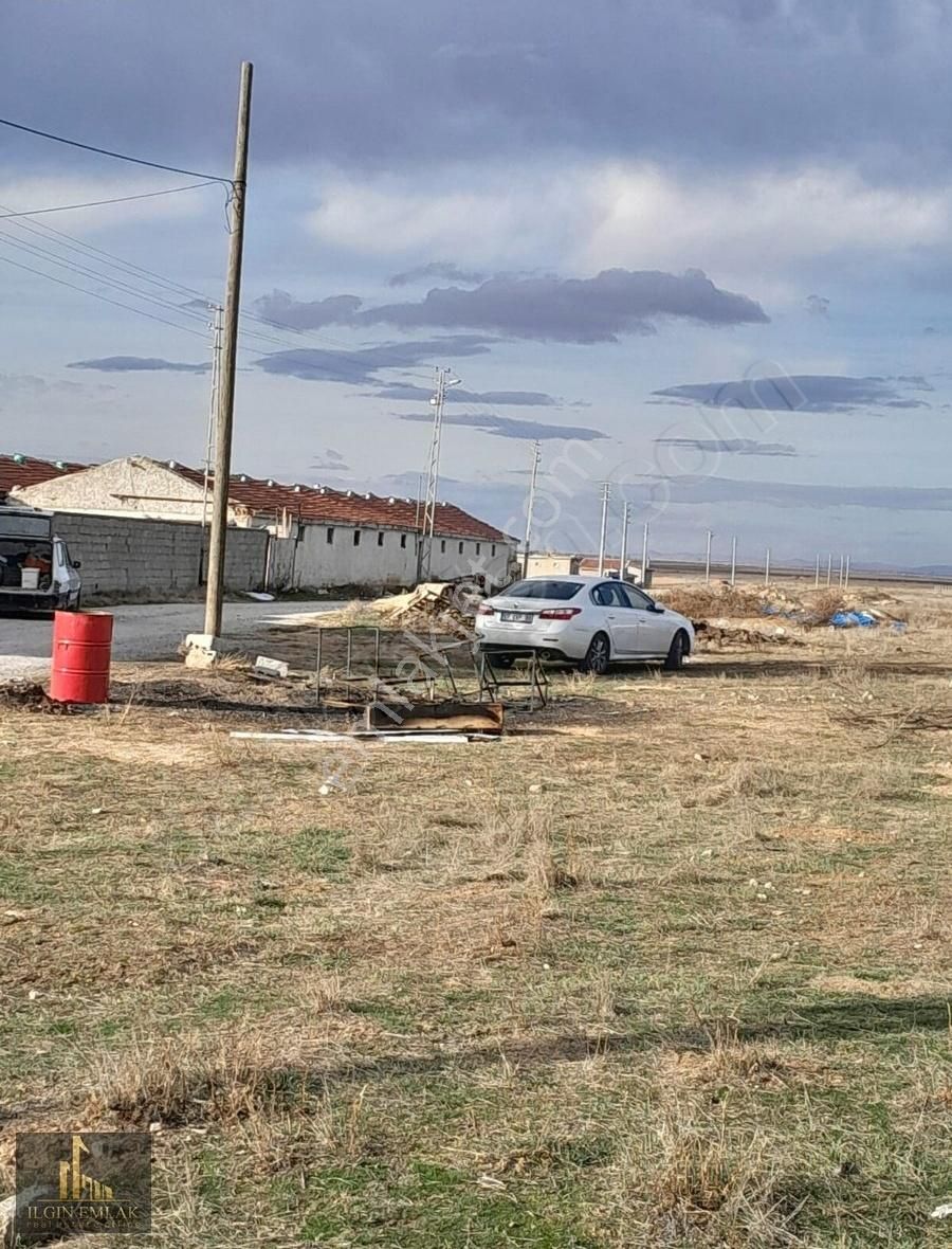 Sarayönü'nde Satılık Büyük Ve Küçük Baş Hayvan Çardağı - Görsel 3