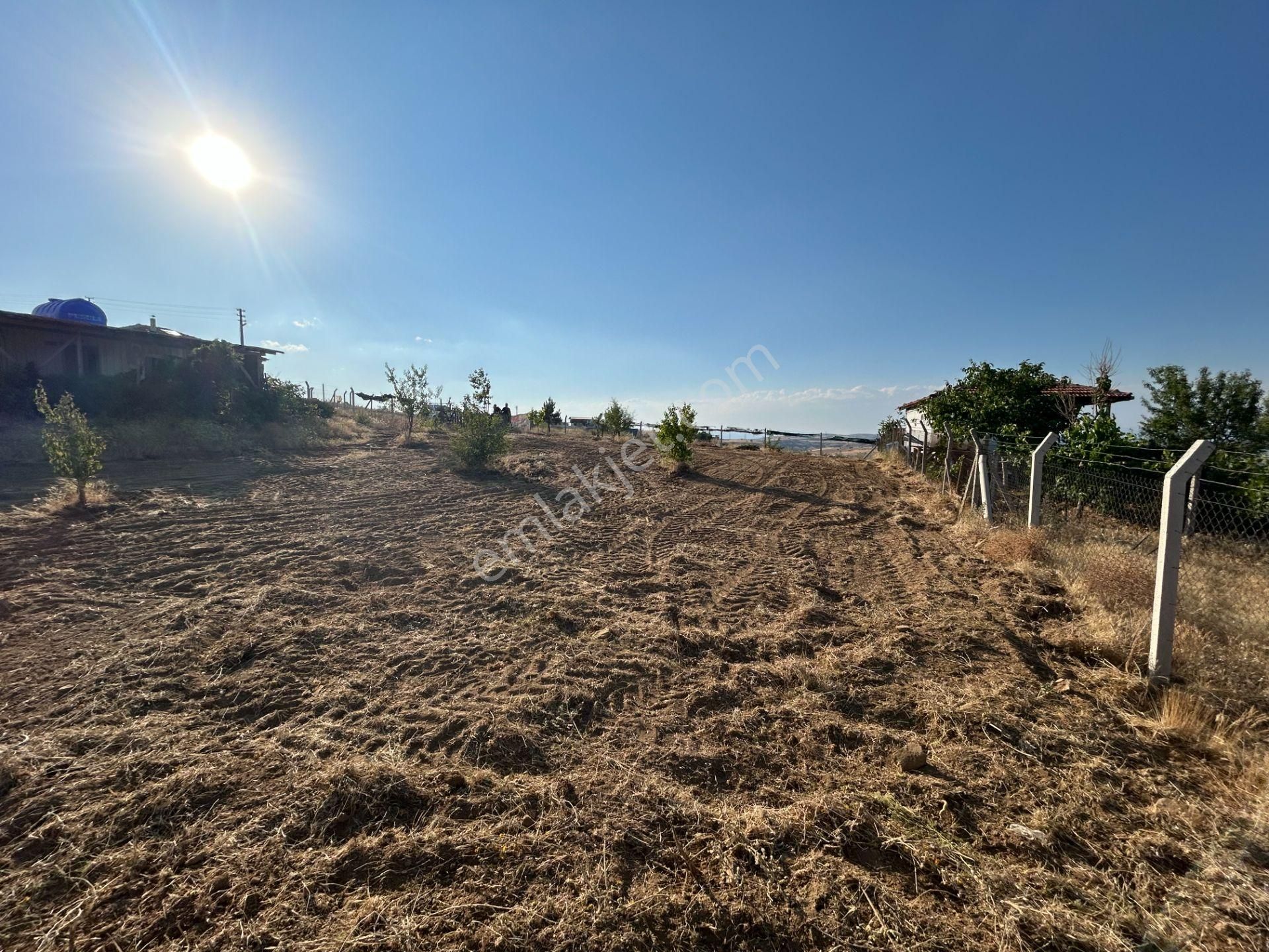 Tapulu Etrafı Çevrili Konteyner Ve Su Tankı Olan Bahçe - Görsel 12