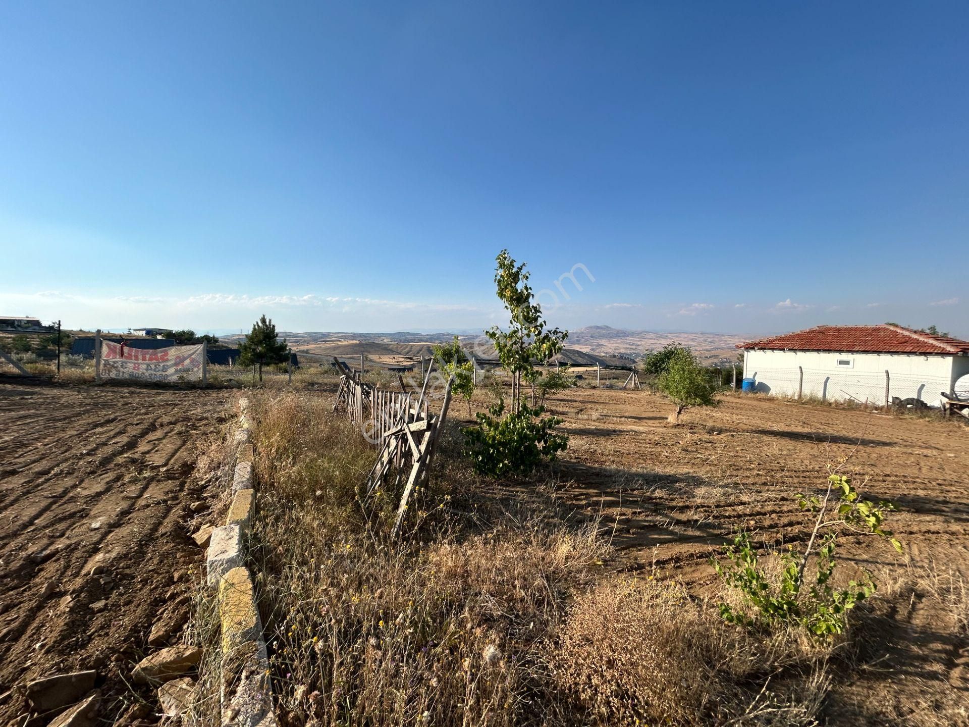 Tapulu Etrafı Çevrili Konteyner Ve Su Tankı Olan Bahçe - Görsel 18