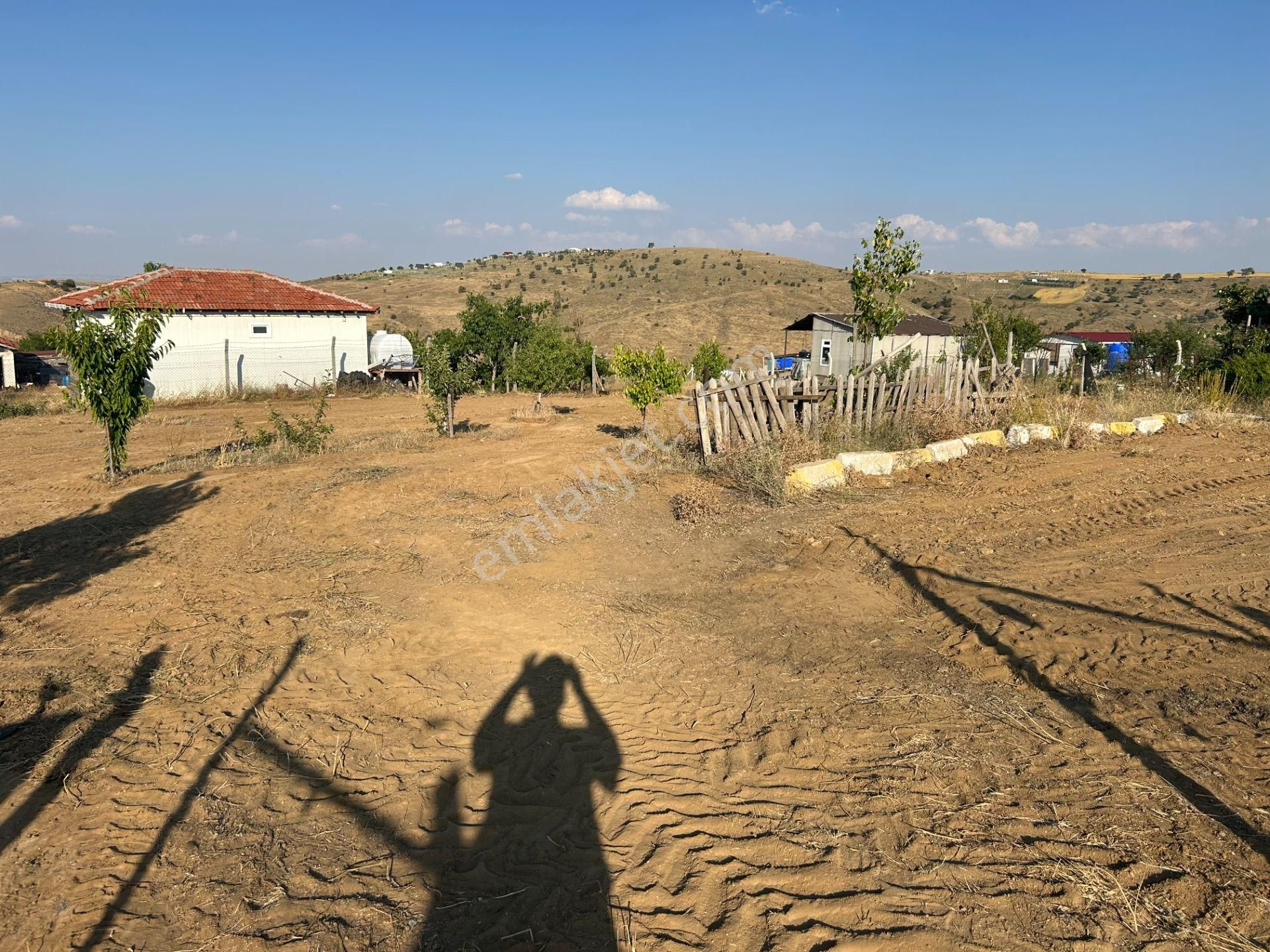 Tapulu Etrafı Çevrili Konteyner Ve Su Tankı Olan Bahçe - Görsel 2