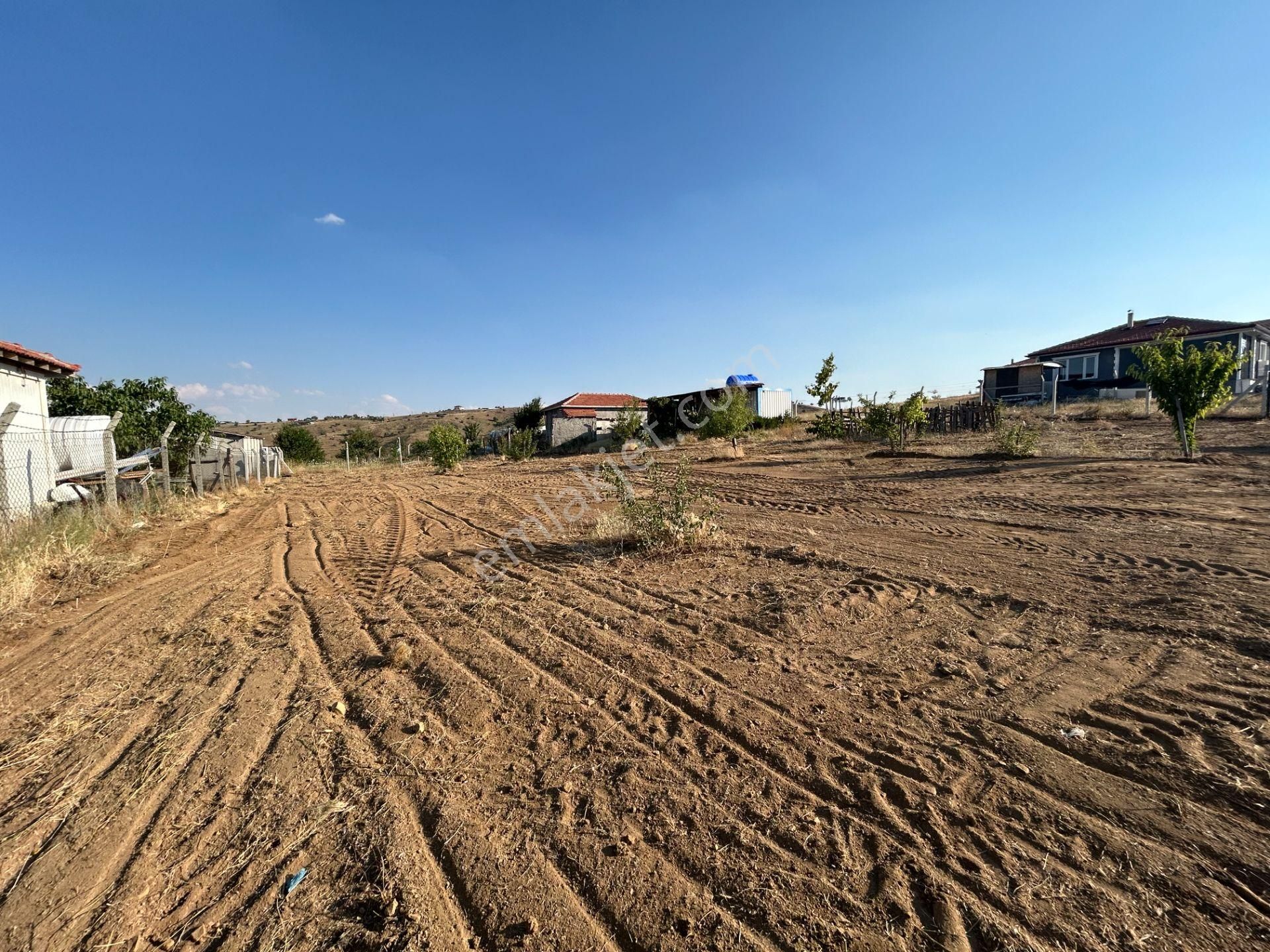 Tapulu Etrafı Çevrili Konteyner Ve Su Tankı Olan Bahçe - Görsel 7