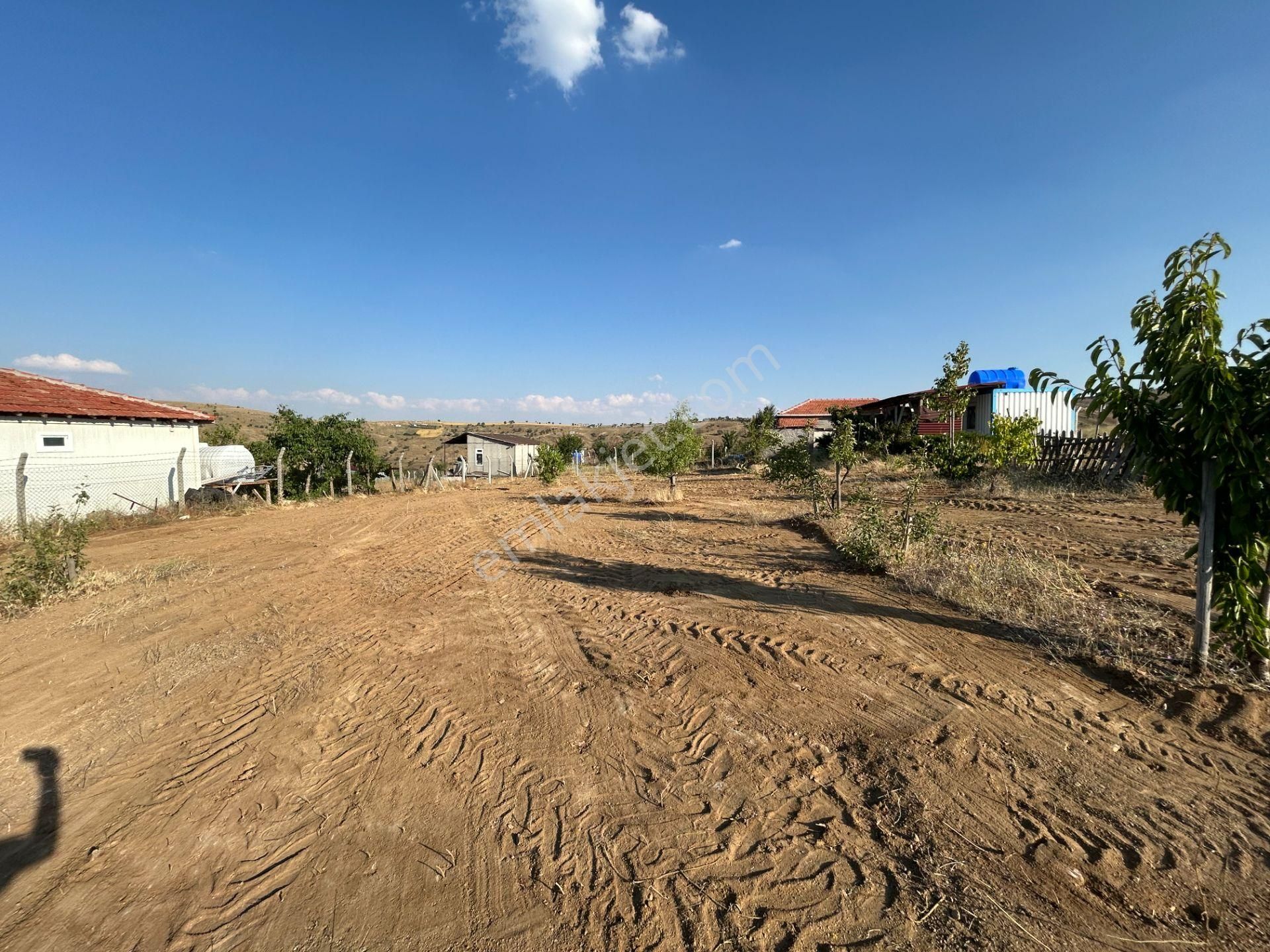 Tapulu Etrafı Çevrili Konteyner Ve Su Tankı Olan Bahçe - Görsel 6