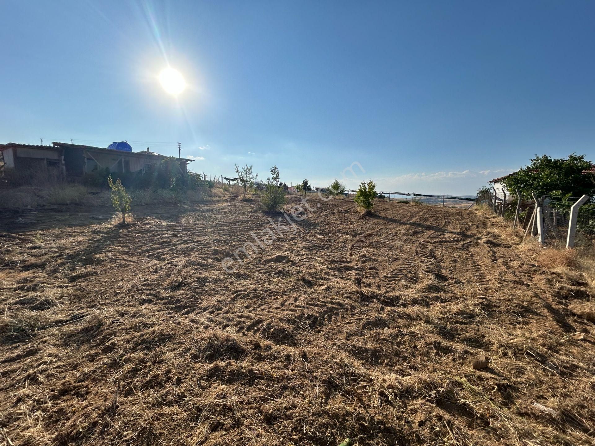 Tapulu Etrafı Çevrili Konteyner Ve Su Tankı Olan Bahçe - Görsel 11