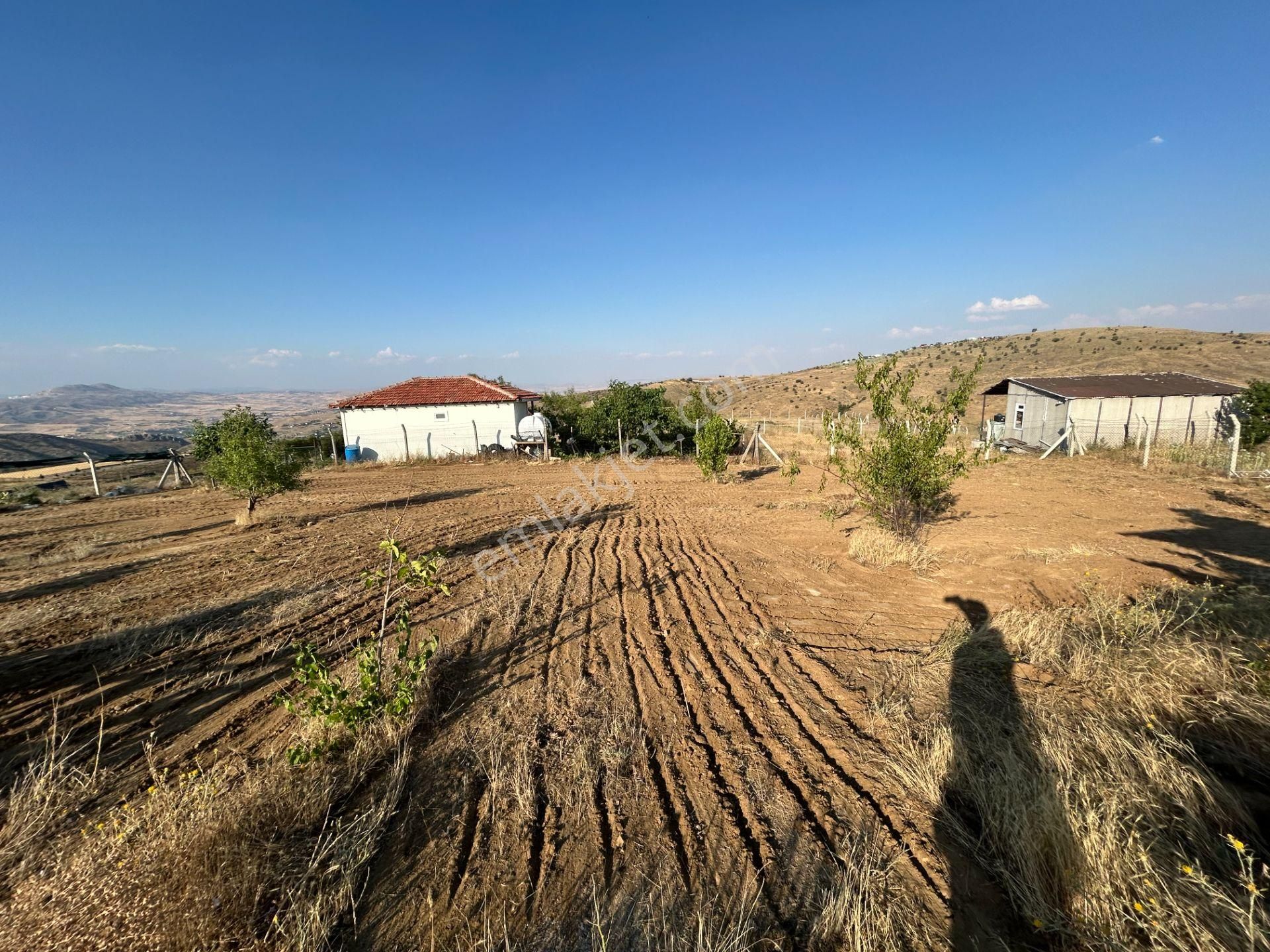 Tapulu Etrafı Çevrili Konteyner Ve Su Tankı Olan Bahçe - Görsel 16