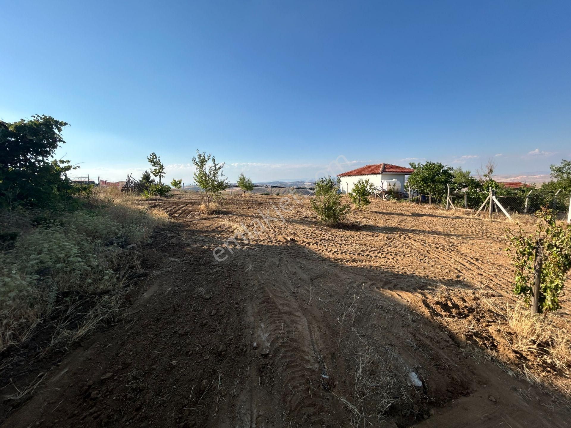 Tapulu Etrafı Çevrili Konteyner Ve Su Tankı Olan Bahçe - Görsel 13