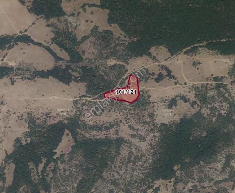 Turyap Göztepe Den Çanakkale Lapseki De 8591m2 Arsa - Görsel 4