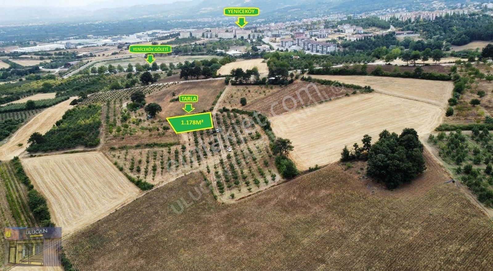 Ulucan'dan İnegöl Yeniceköy'de Satılık Erik Tarlası