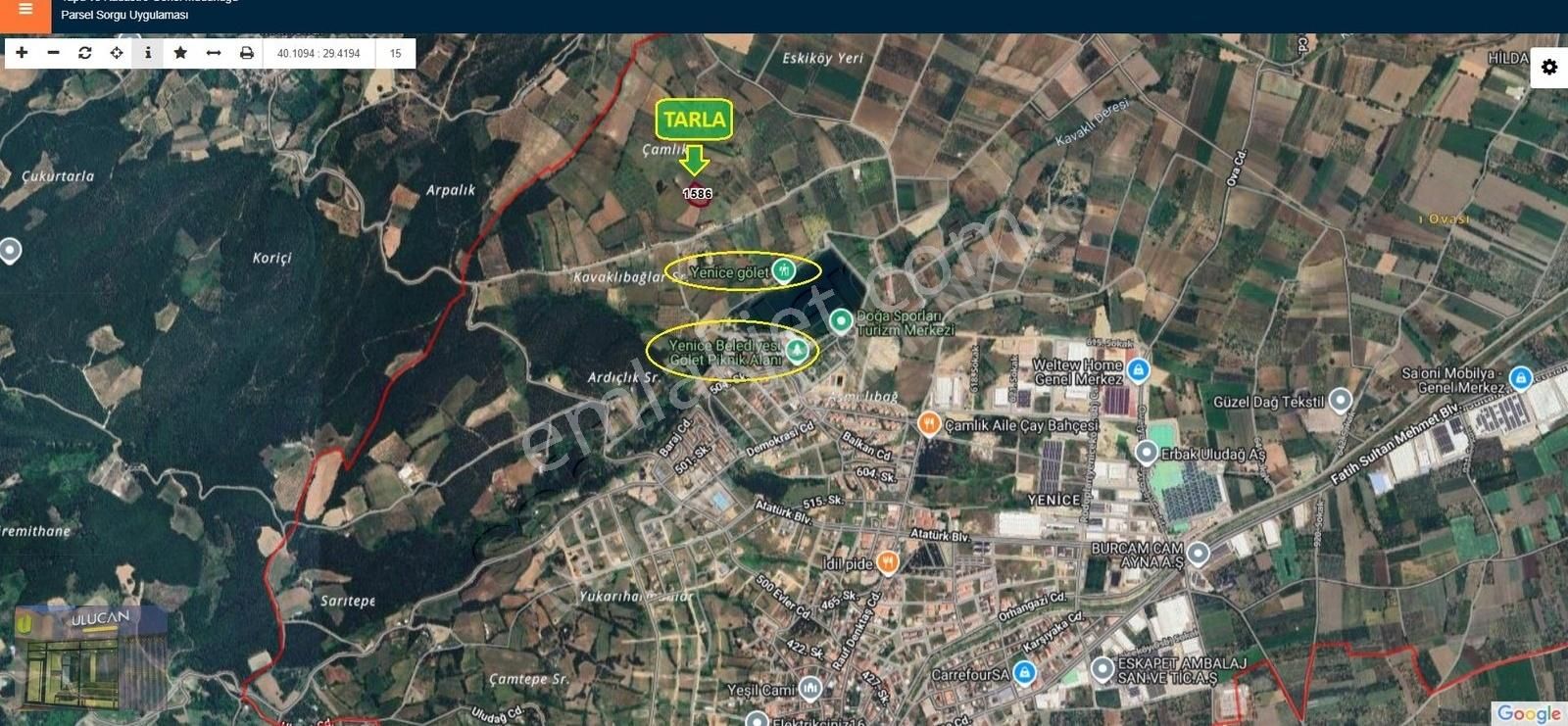 Ulucan'dan İnegöl Yeniceköy'de Satılık Erik Tarlası