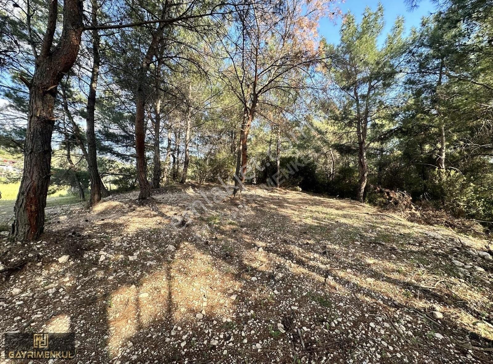 İzmir Bornova Yakaköyde Yola Sıfır Villa Yapımına Uygun Tarla - Görsel 11