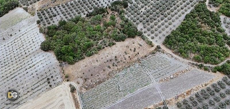 Bursa Büyükbalıklı Tek Tapu Uygun Fiyat 2350m² - Görsel 3