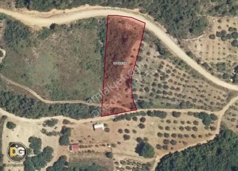 Bursagündoğdu Bursa Manzaralı Resmi Tapulu Hobi Bahçeleri - Görsel 16