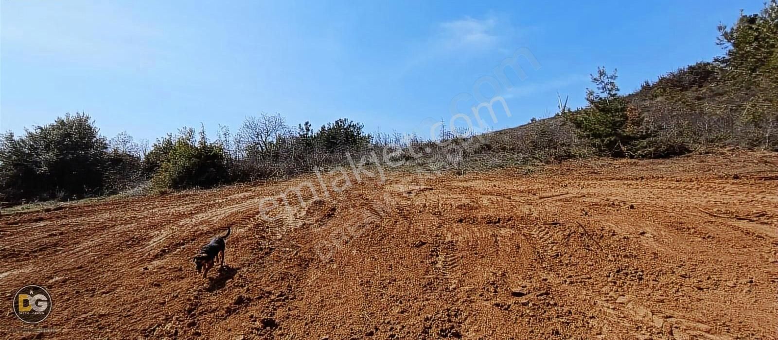 Bursagündoğdu Bursa Manzaralı Resmi Tapulu Hobi Bahçeleri - Görsel 11