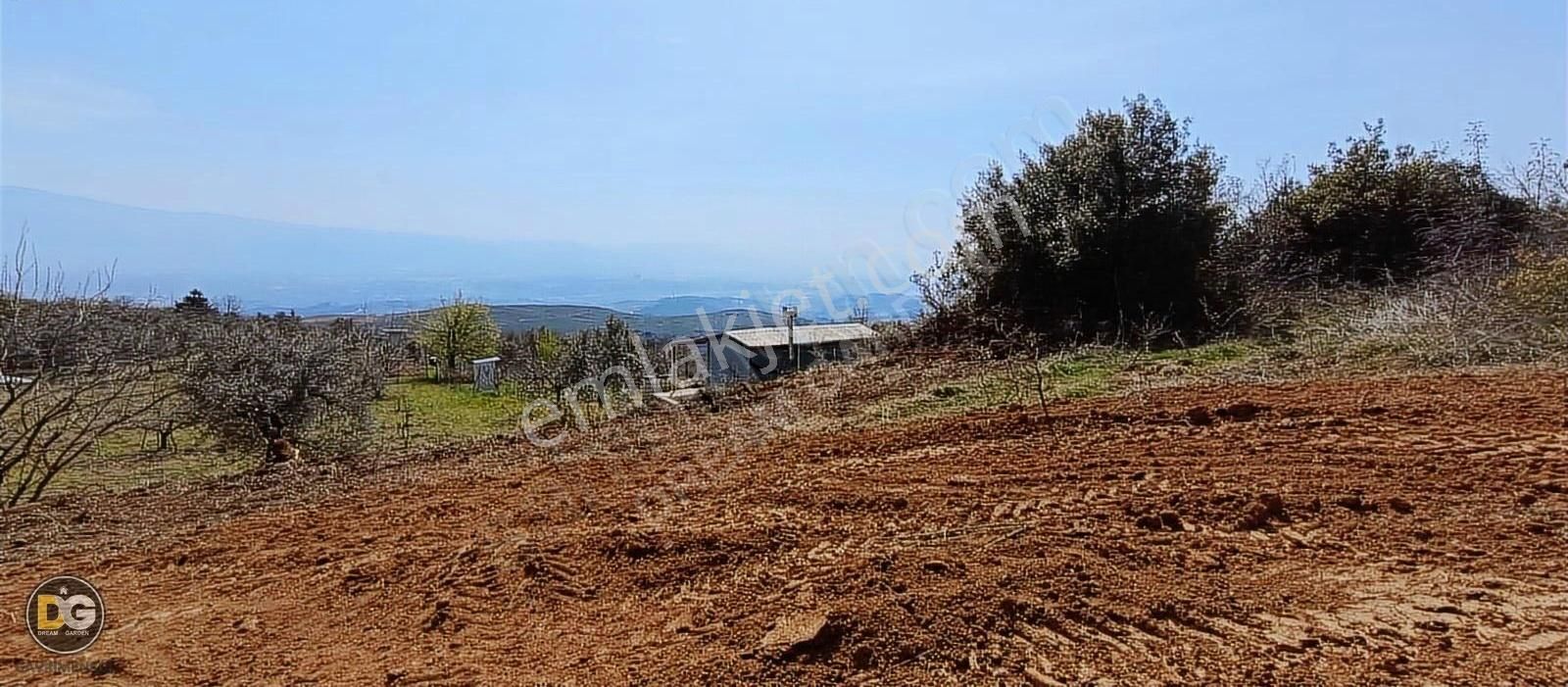 Bursagündoğdu Bursa Manzaralı Resmi Tapulu Hobi Bahçeleri