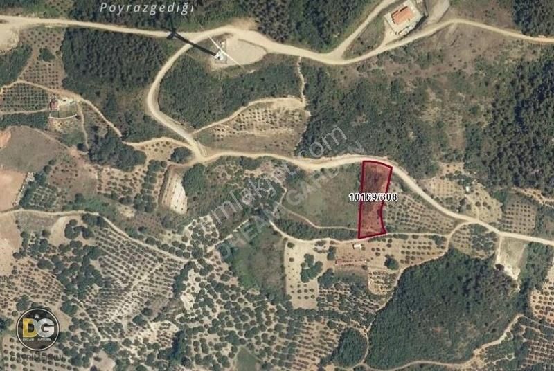 Bursagündoğdu Bursa Manzaralı Resmi Tapulu Hobi Bahçeleri - Görsel 15