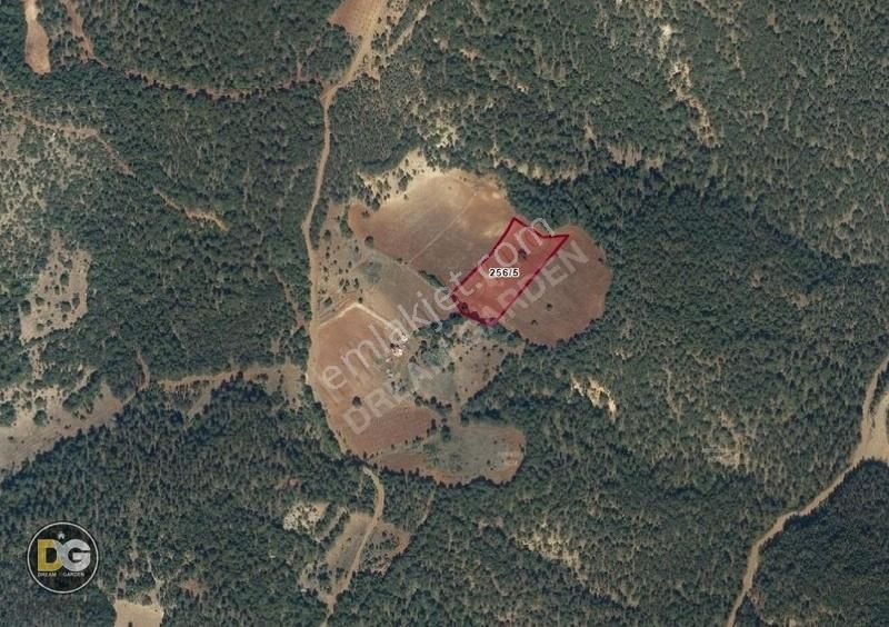 Bursa Keles Basak Köyü, Tek Tapu Düz Yatırıma Uygun Satılk Tarla