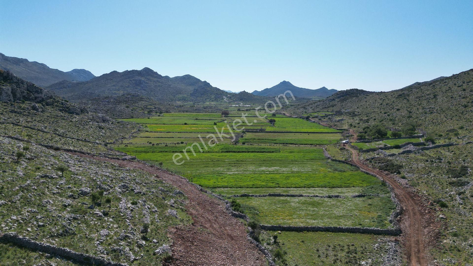 Joker: Taşlıca Resmi Yol Cepheli Yatırımlık Tarla - Görsel 3