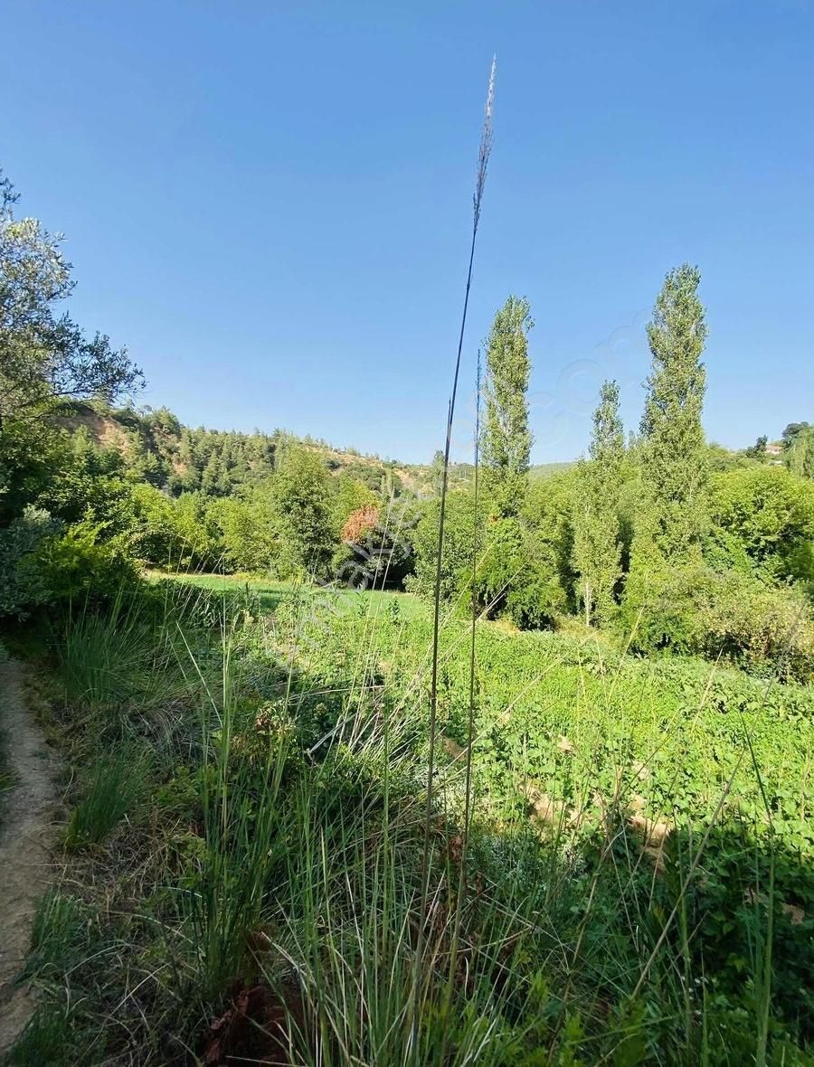 Avcılar Emlak'tan Deştin'de Köyiçi İmarlı Arsa - Görsel 3