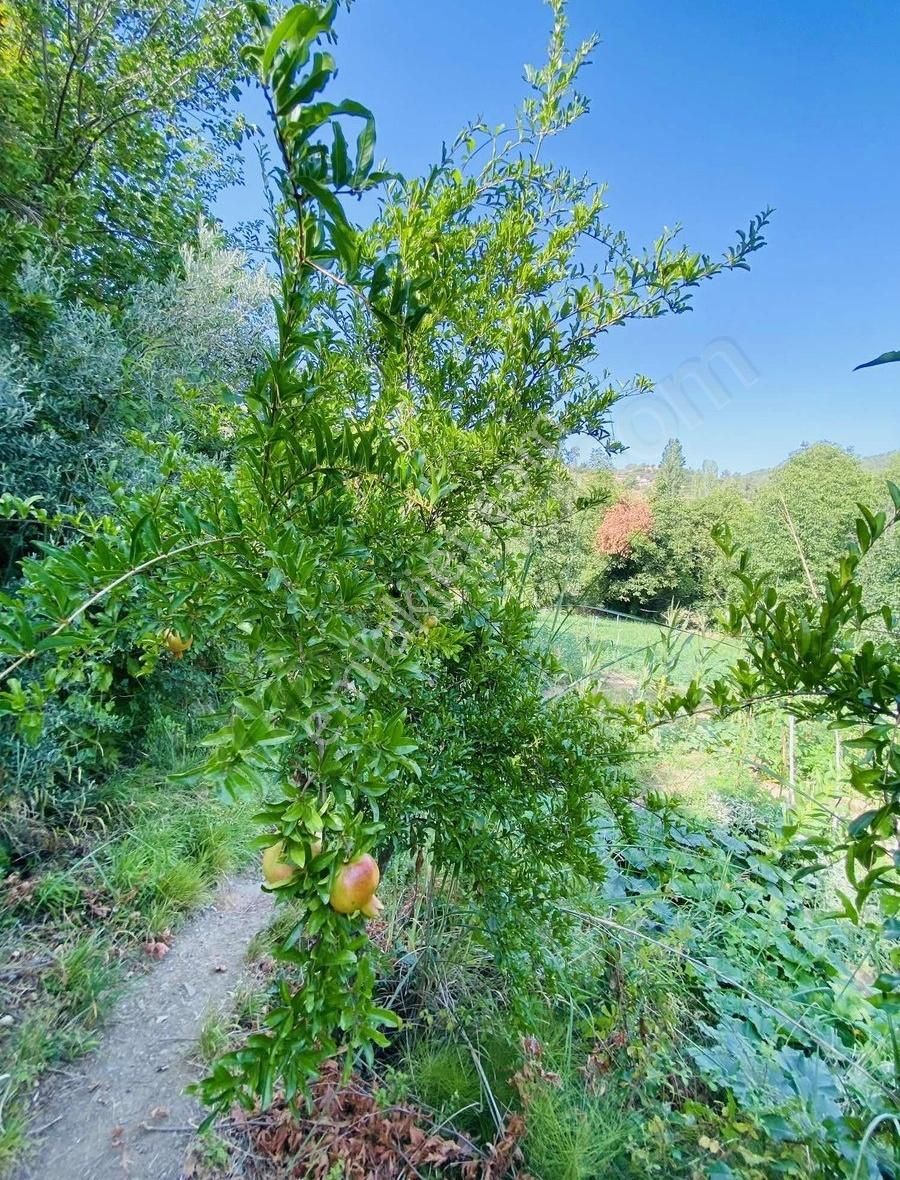 Avcılar Emlak'tan Deştin'de Köyiçi İmarlı Arsa - Görsel 2