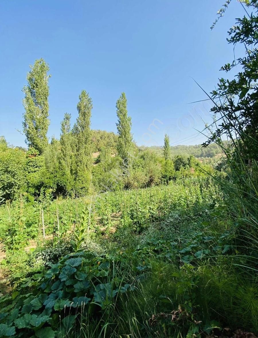 Avcılar Emlak'tan Deştin'de Köyiçi İmarlı Arsa - Görsel 4