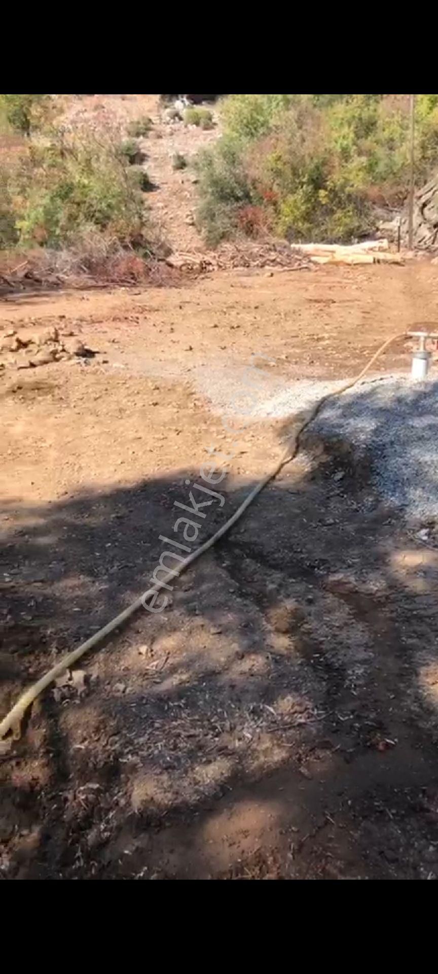Dalyan Gökbel Aşı Koyunda Satılık Tarla - Görsel 5