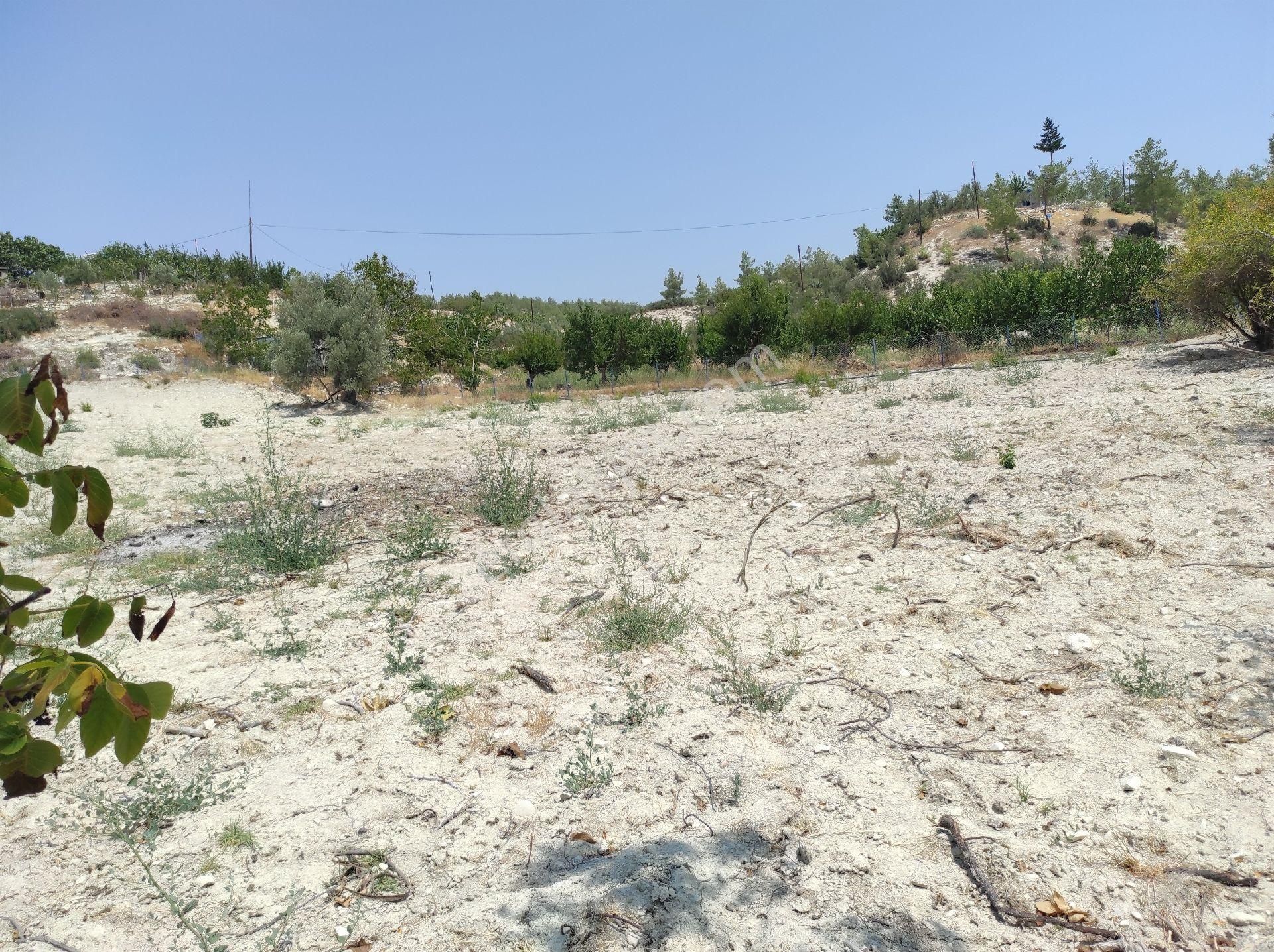 Sahibinden(memurdan) Araç Takasına Açık Satılık Tek Tapu 2.5 Dönüm Bahçe Köy İçi - Görsel 2