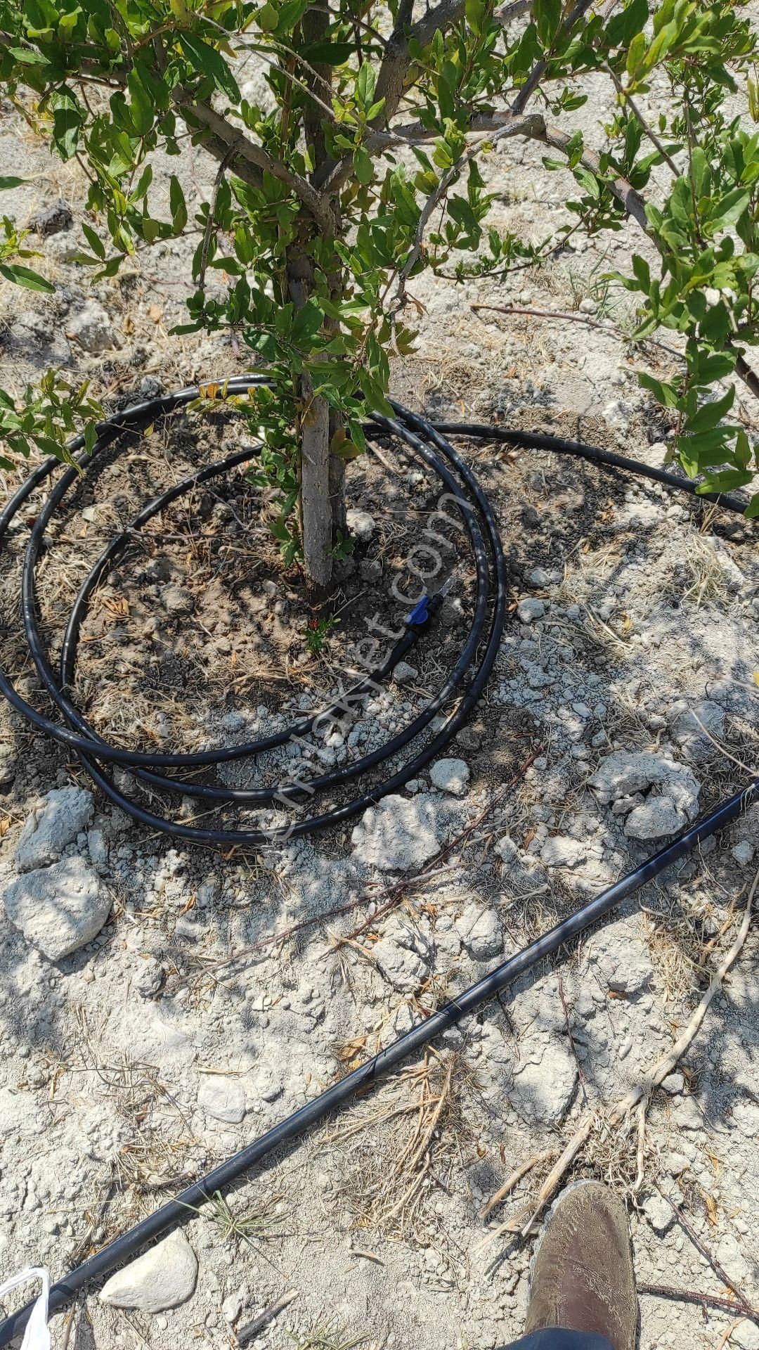 Sahibinden(memurdan) Araç Takasına Açık Satılık Tek Tapu 2.5 Dönüm Bahçe Köy İçi - Görsel 7