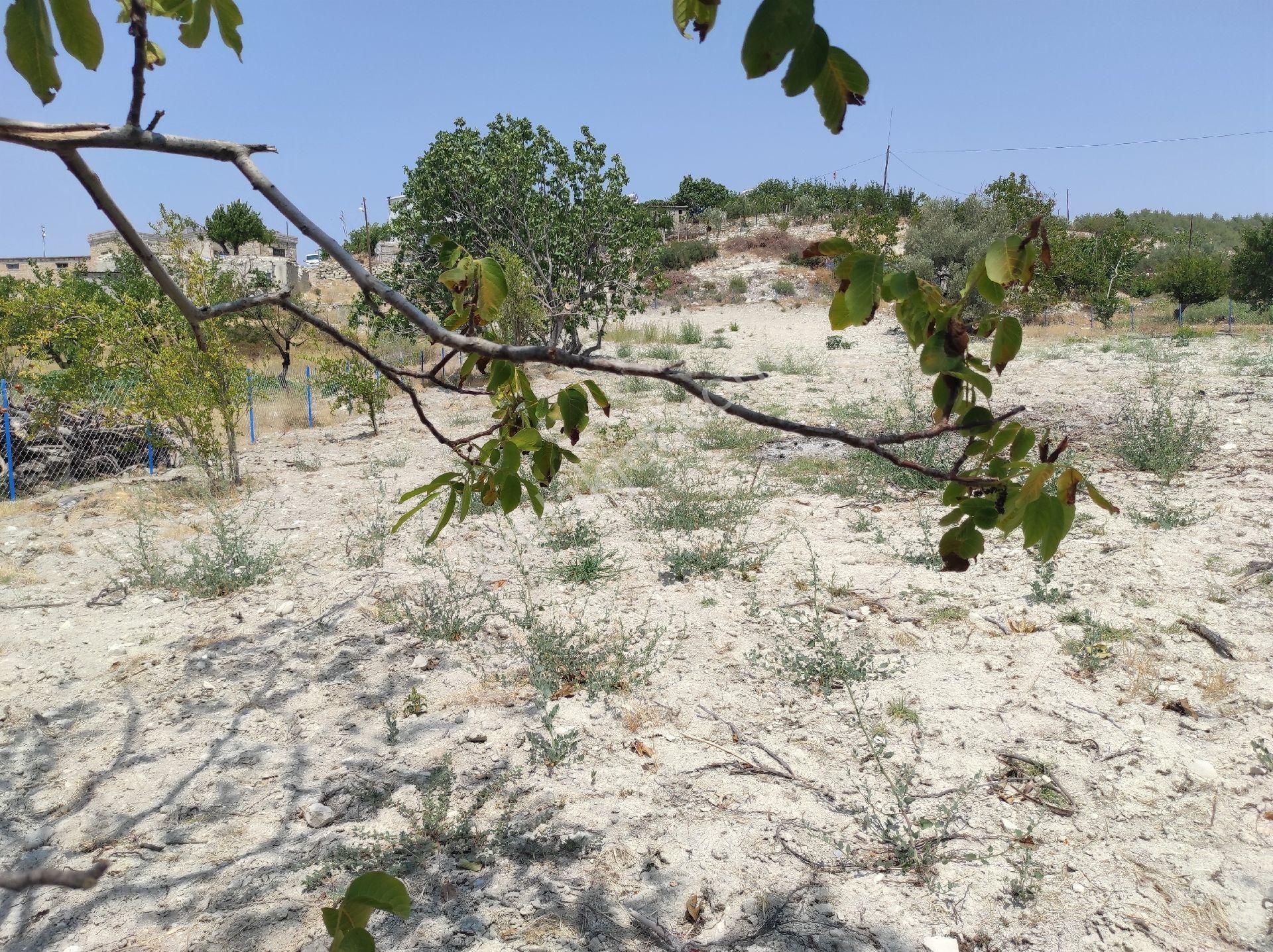 Sahibinden(memurdan) Araç Takasına Açık Satılık Tek Tapu 2.5 Dönüm Bahçe Köy İçi - Görsel 3
