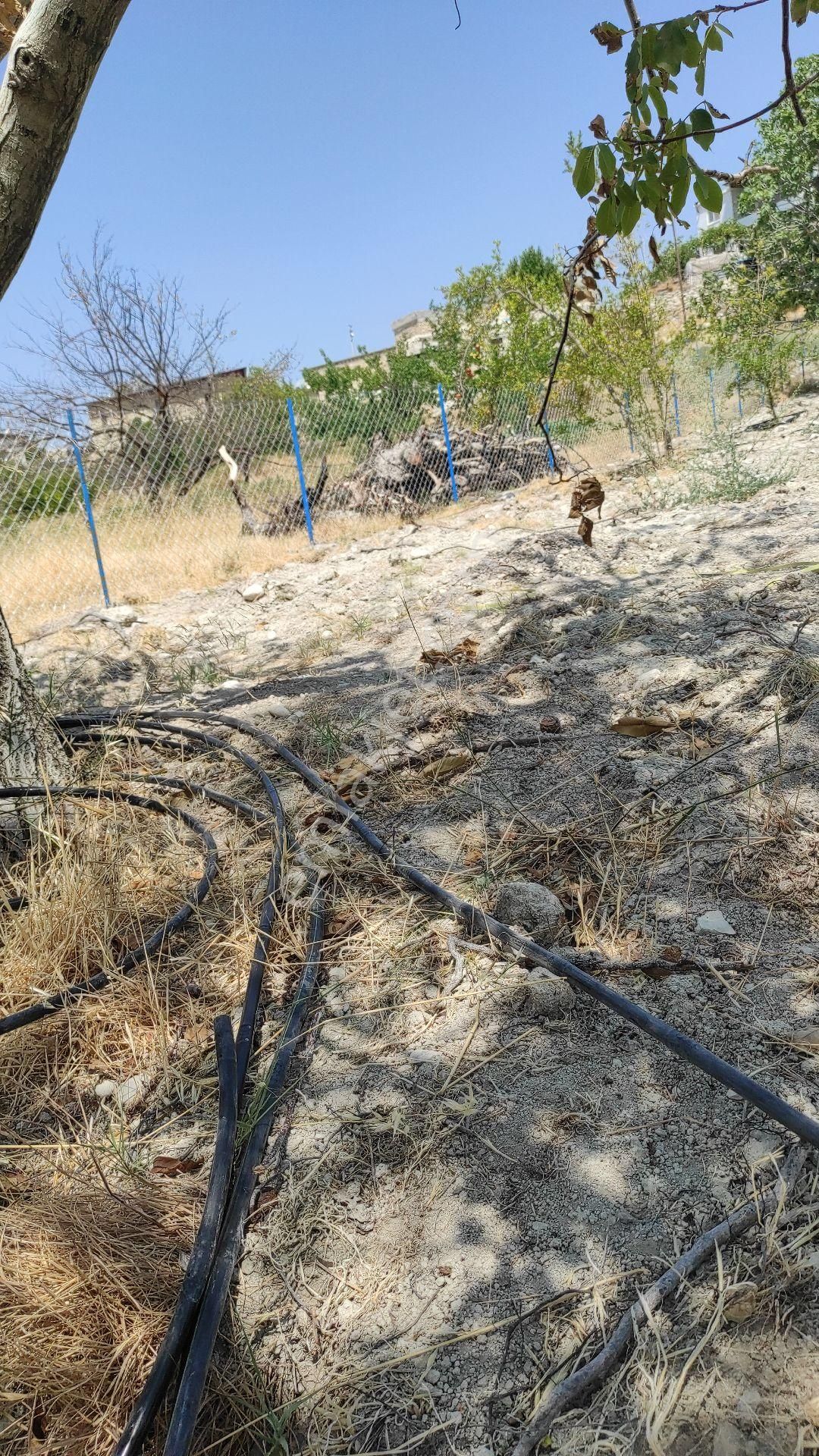 Sahibinden(memurdan) Araç Takasına Açık Satılık Tek Tapu 2.5 Dönüm Bahçe Köy İçi - Görsel 8